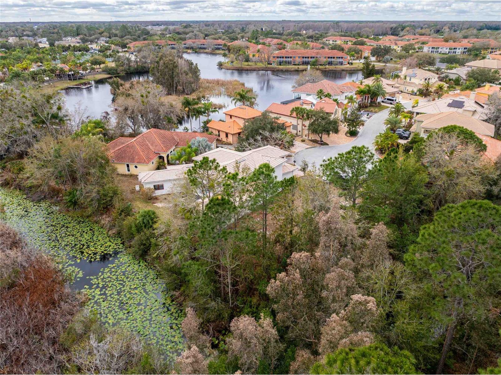 21150 Los Cabos Court Land O Lakes FL 34637 - LAGO CALIENTE TB8479647 image46