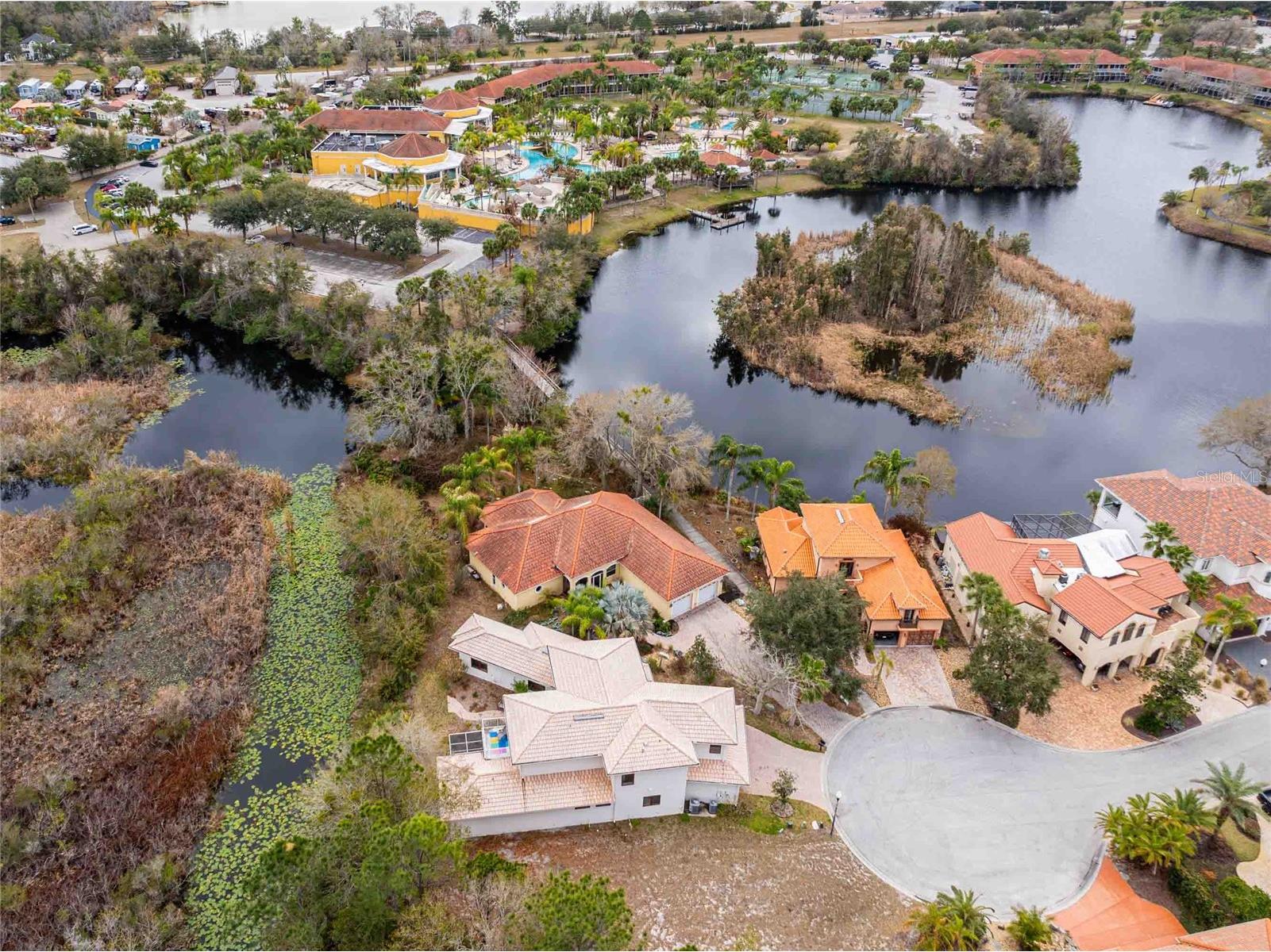 21150 Los Cabos Court Land O Lakes FL 34637 - LAGO CALIENTE TB8479647 image47
