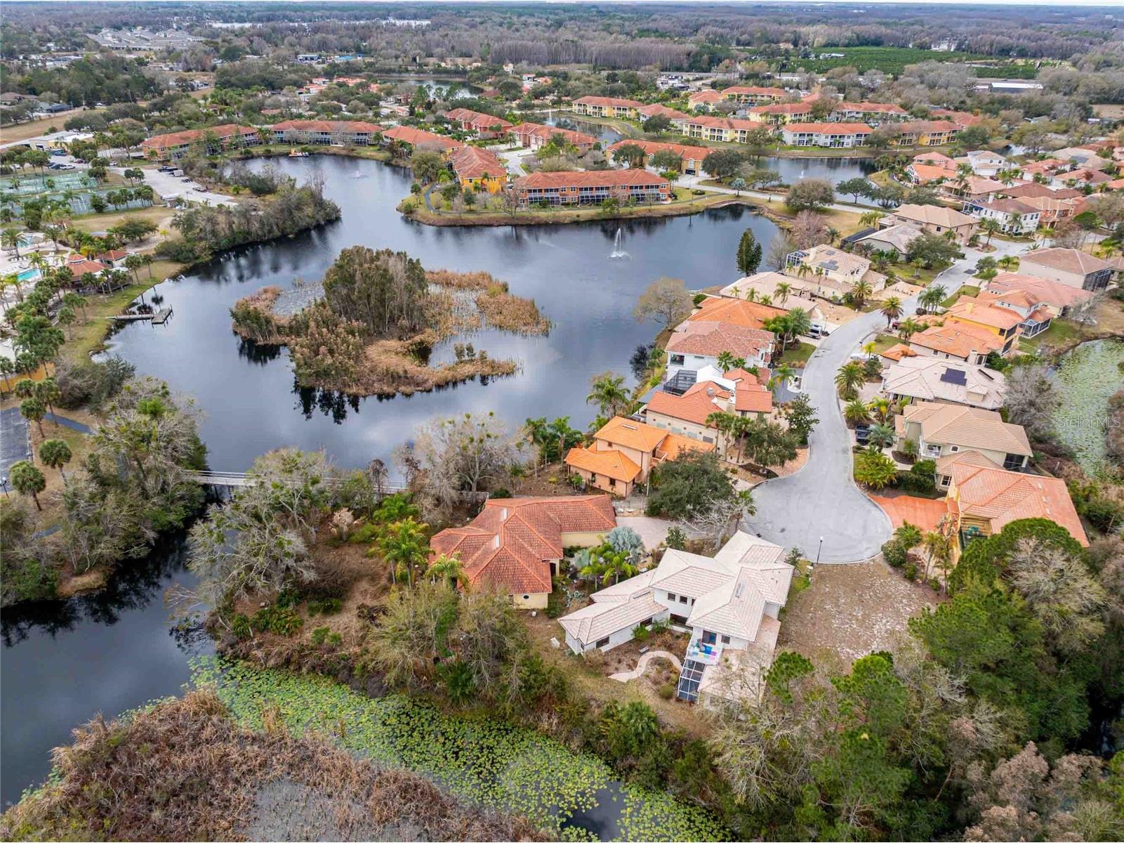 21150 Los Cabos Court Land O Lakes FL 34637 - LAGO CALIENTE TB8479647 image48