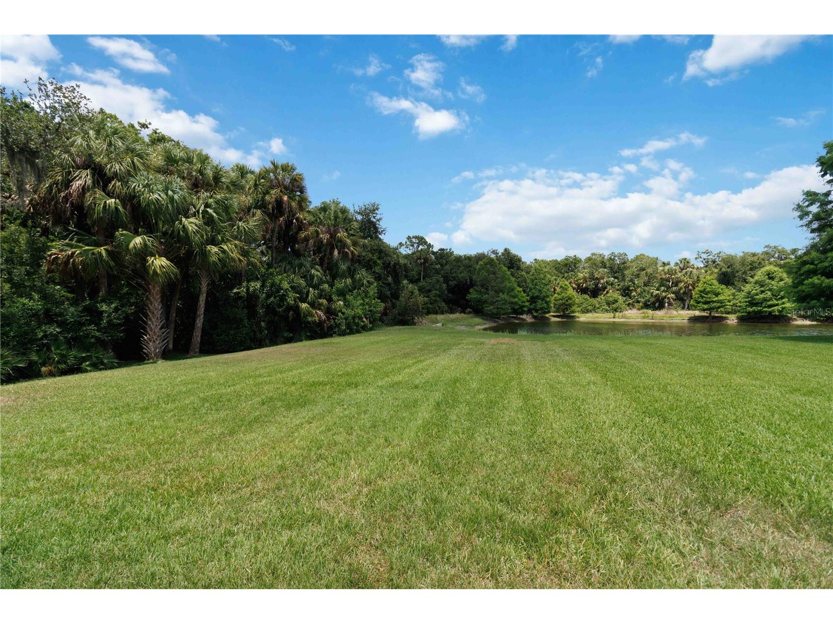 2116 151st Terrace E Parrish FL 34219 A4697790 image50