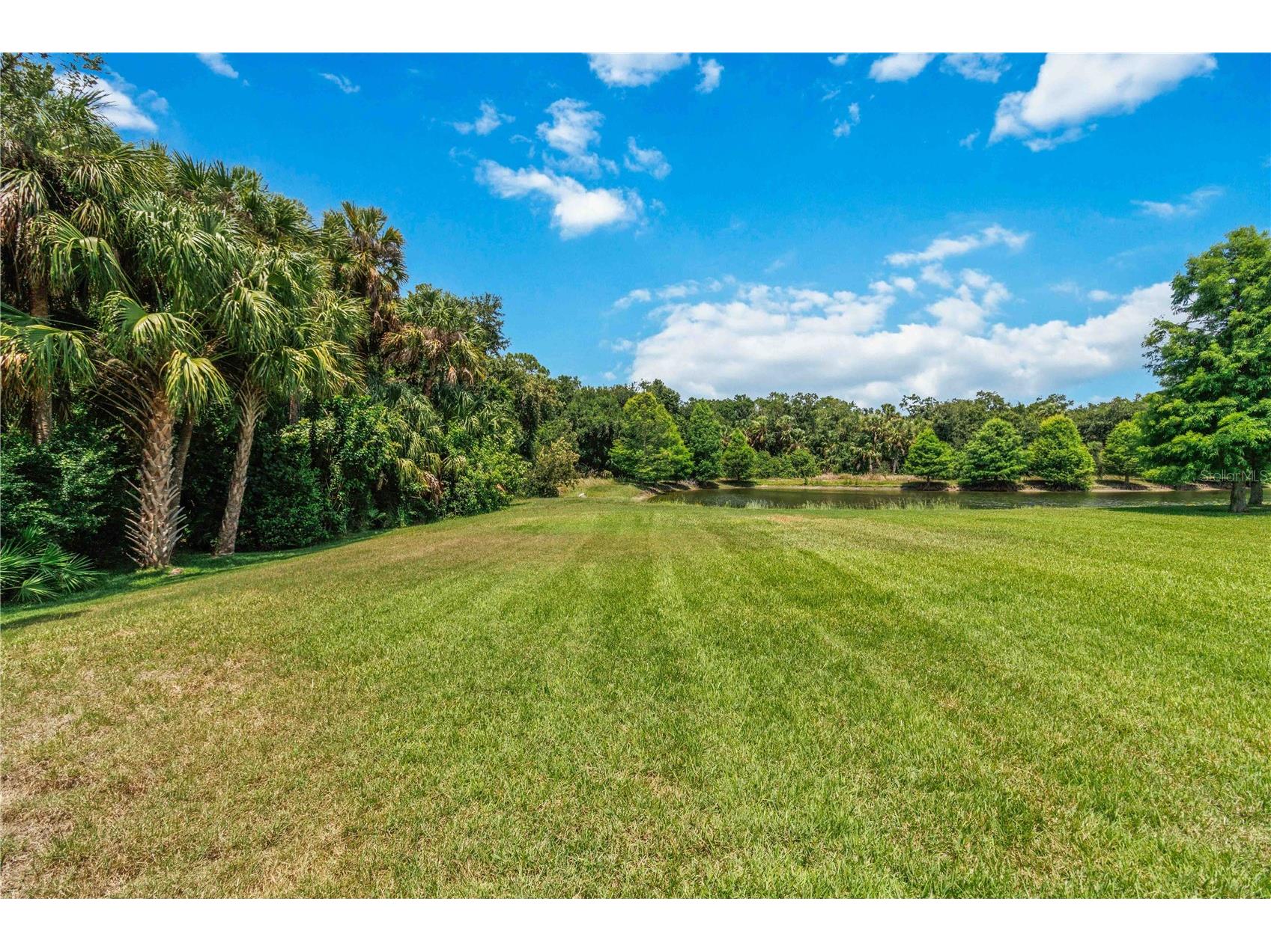 2116 151st Terrace E Parrish FL 34219 A4697790 image51