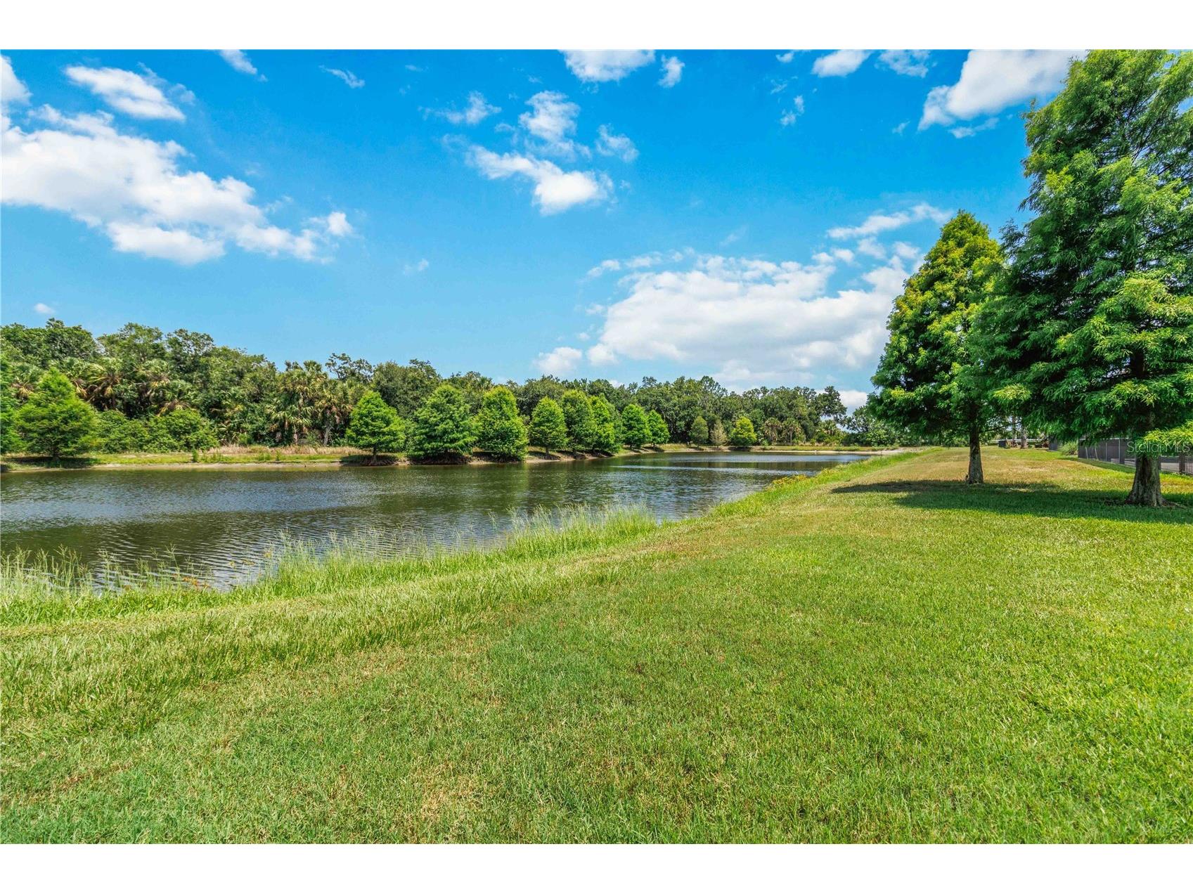 2116 151st Terrace E Parrish FL 34219 A4697790 image56