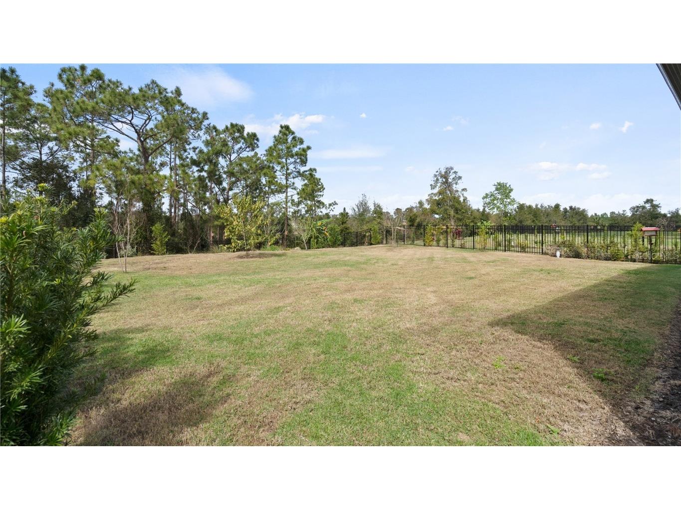 2116 Limestone Trail Kissimmee FL 34747 O6358742 image47