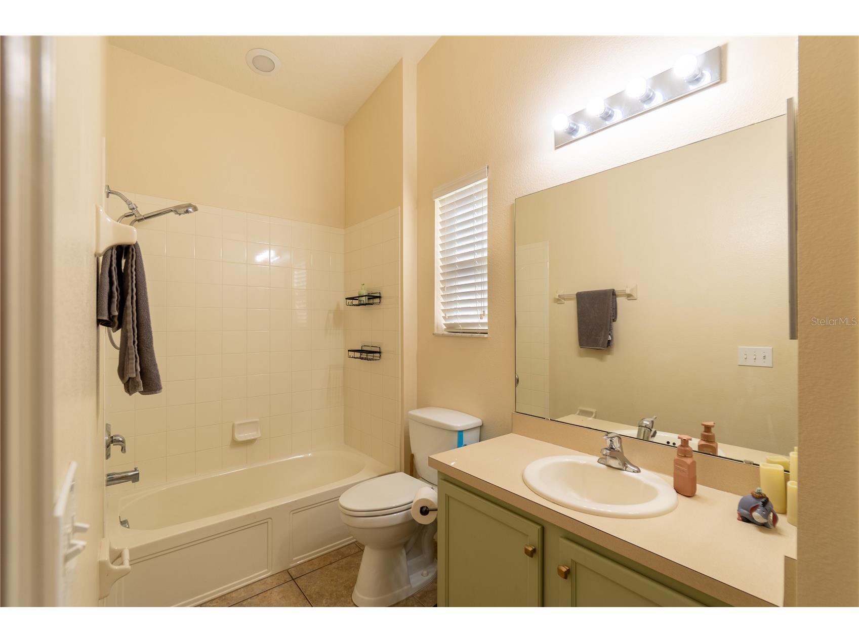 2116 Switch Grass Circle Ocoee FL 34761 O6383930 image19