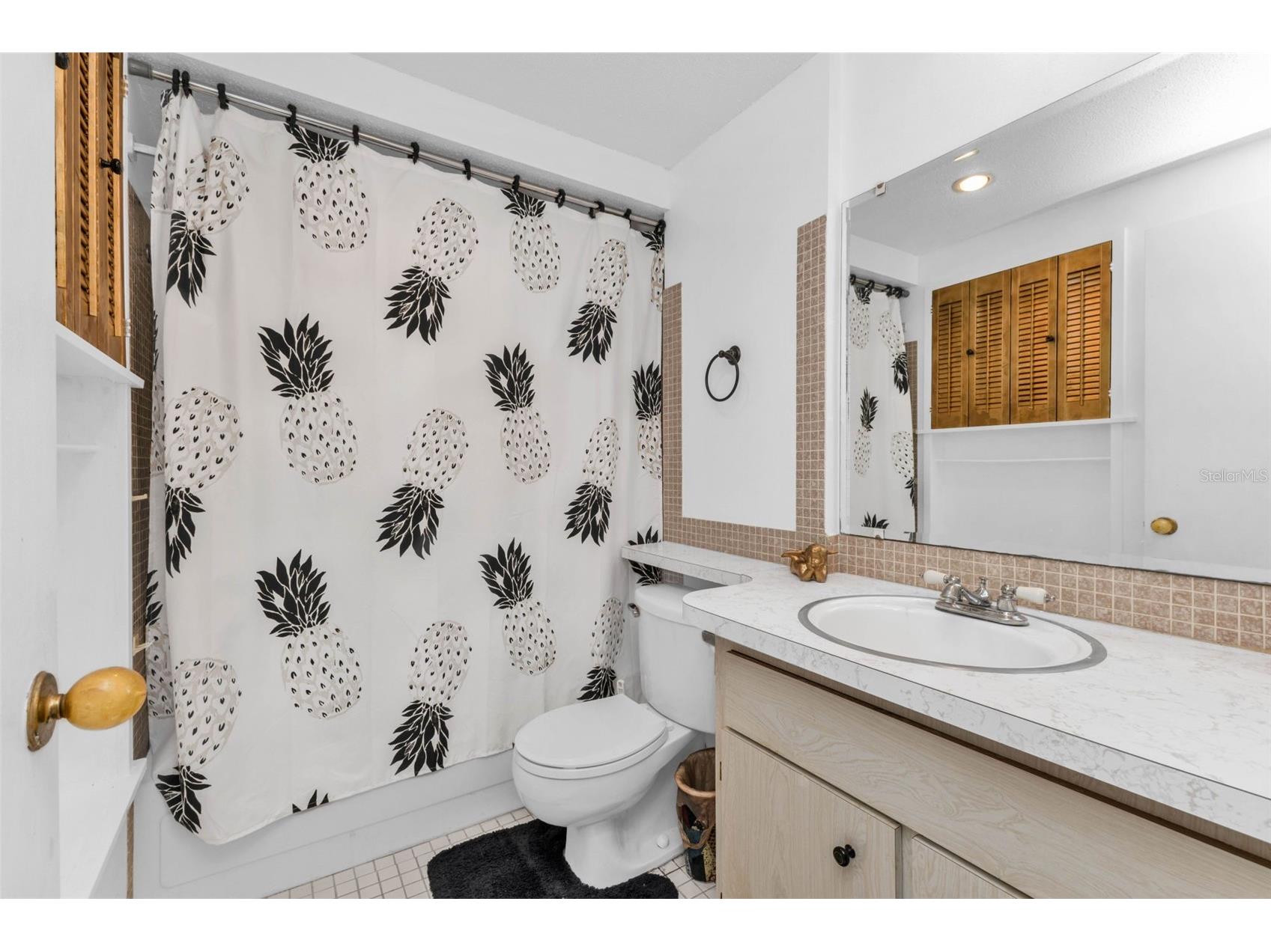 2117 Dewitt Street Port Charlotte FL 33952 C7523619 image16