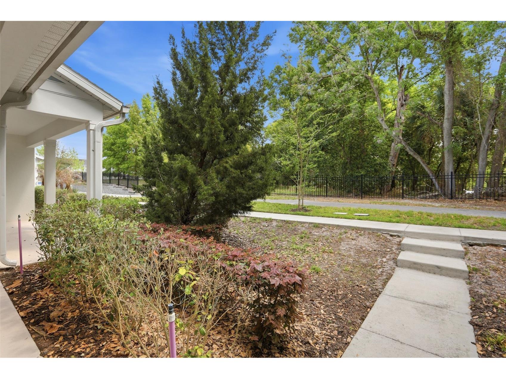 2117 Gopher Tortoise Terrace Oakland FL 34787 O6385739 image3