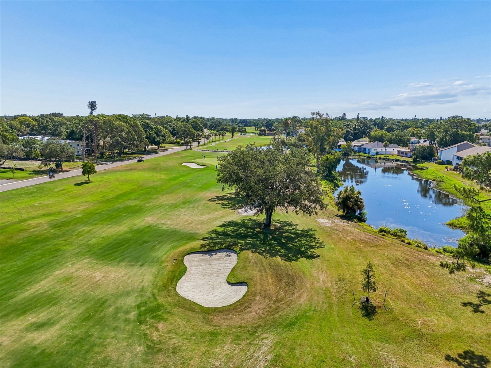 2117 Lakewood Club Drive S #7-N Saint Petersburg FL 33712 L4963098 image61