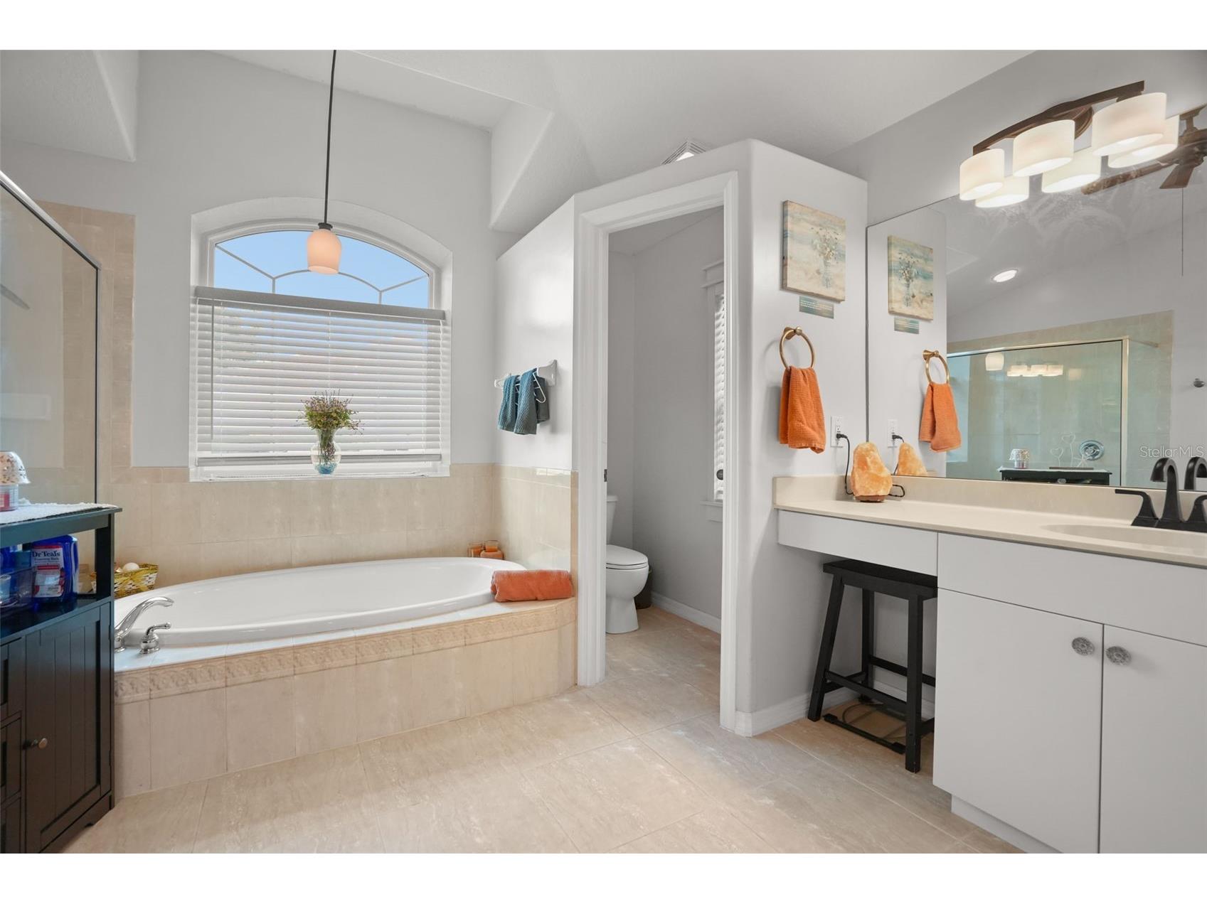 2117 Larkspur Court Trinity FL 34655 TB8527018 image20