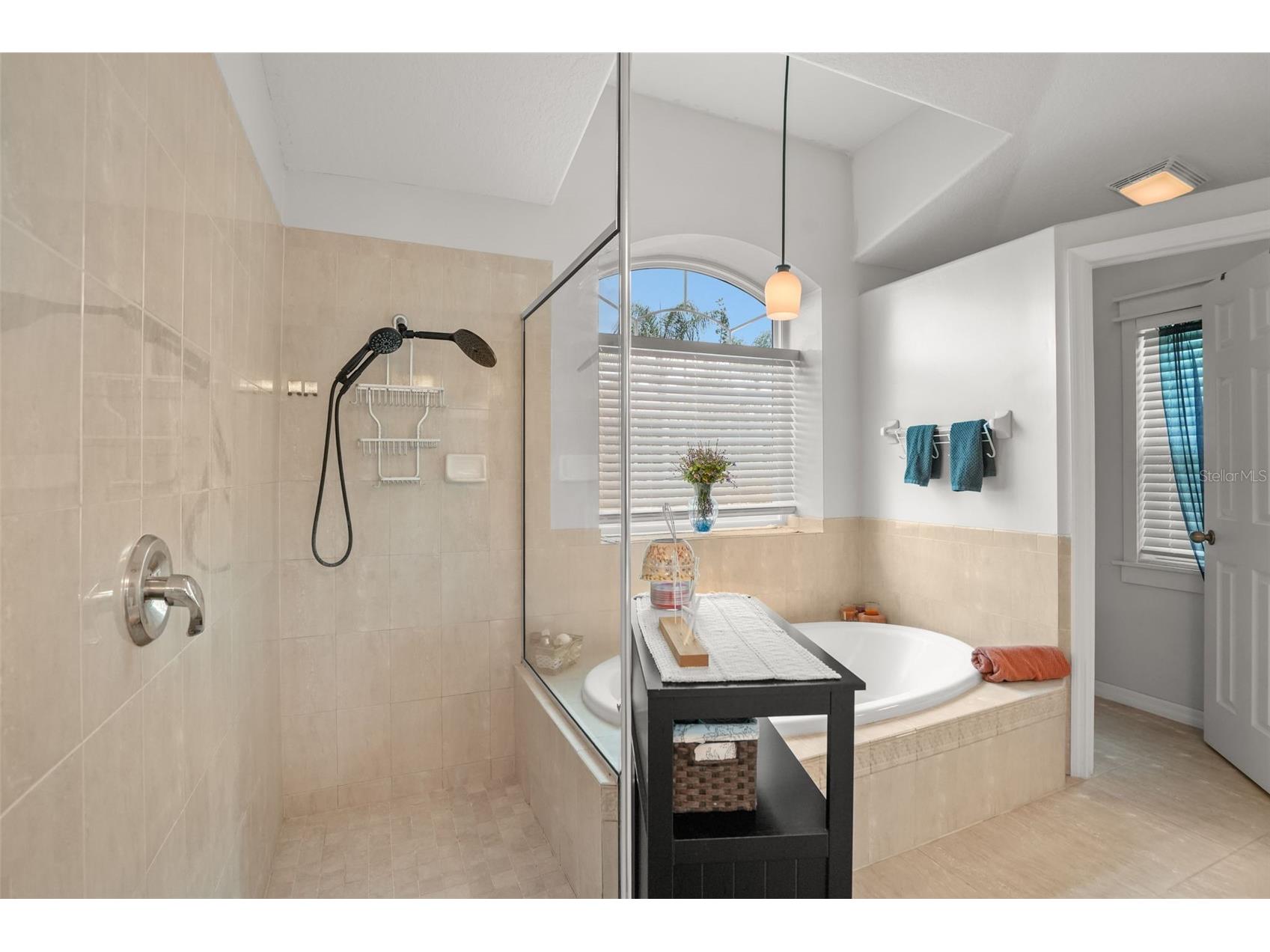 2117 Larkspur Court Trinity FL 34655 TB8527018 image21