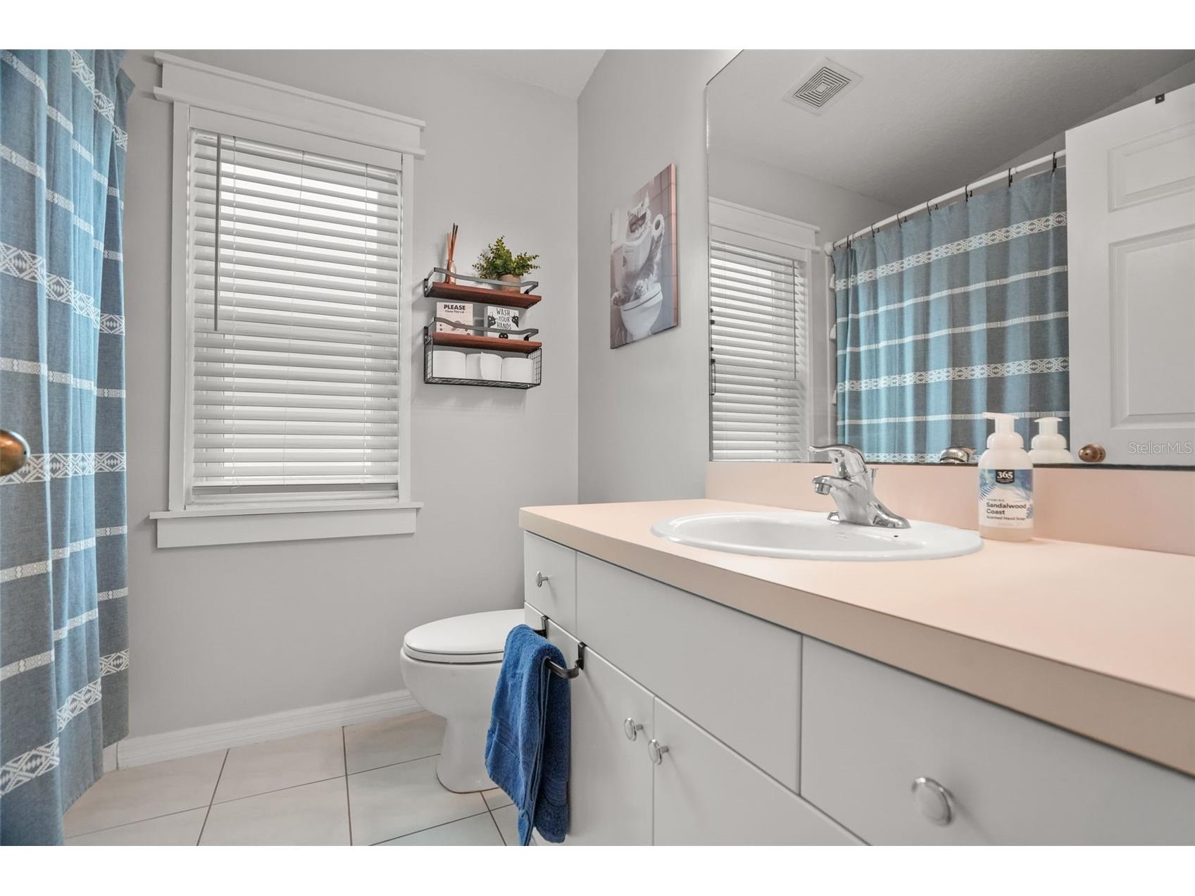 2117 Larkspur Court Trinity FL 34655 TB8527018 image29