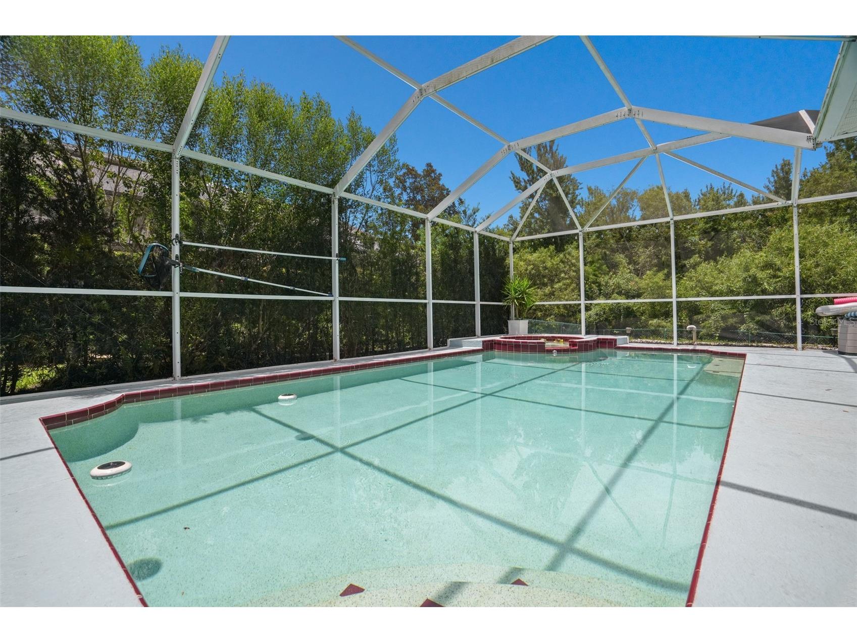 2117 Larkspur Court Trinity FL 34655 TB8527018 image30