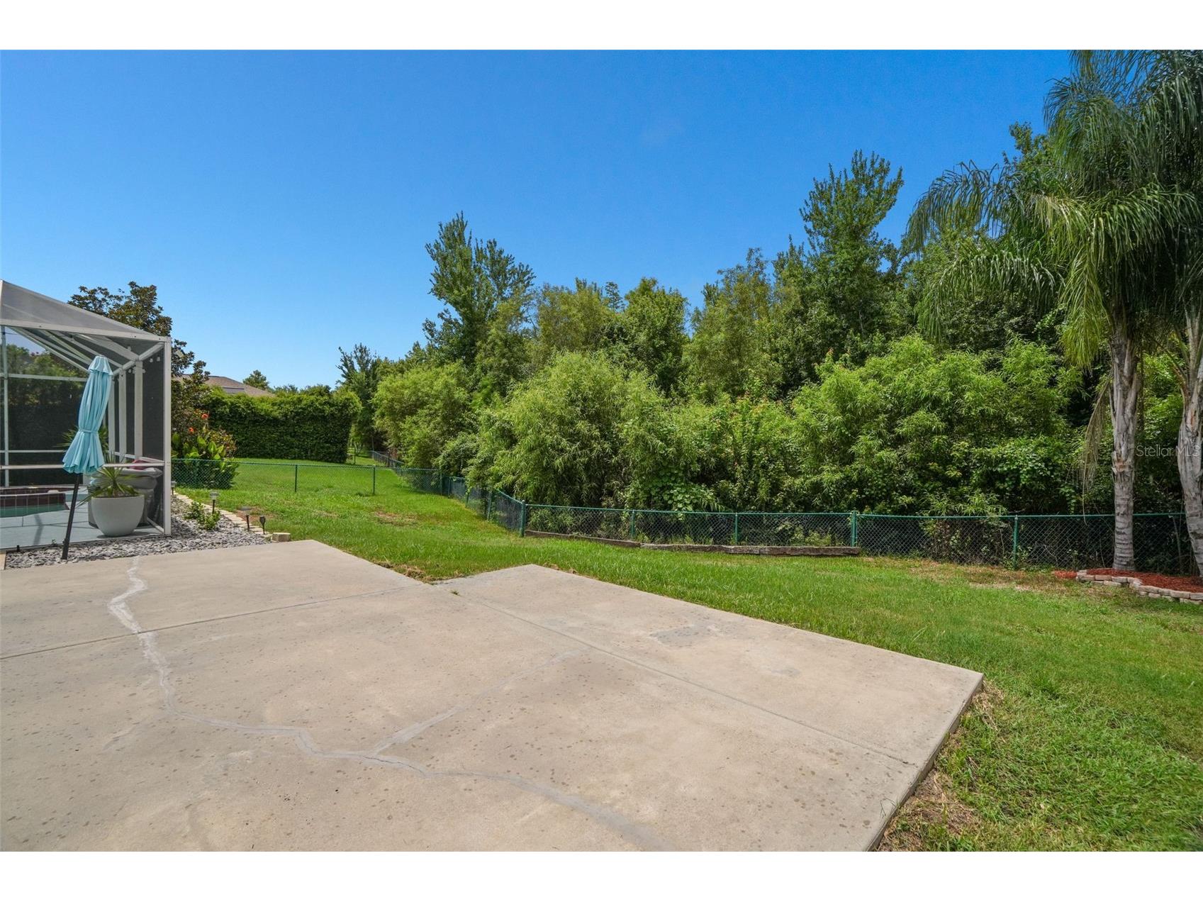 2117 Larkspur Court Trinity FL 34655 TB8527018 image36
