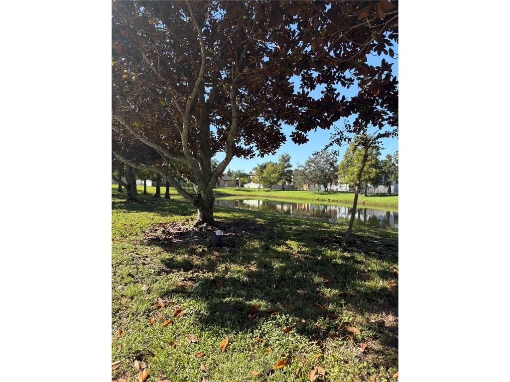 2117 Lilipetal Court Sanford FL 32771 O6356162 image24