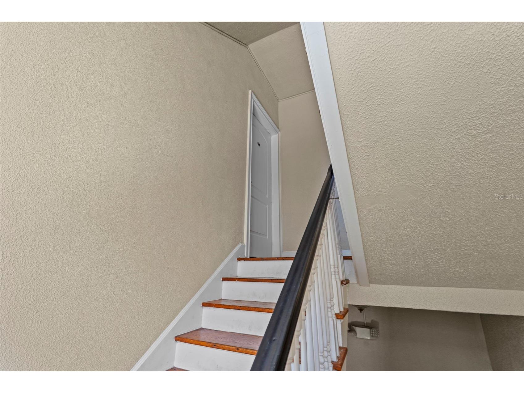 2117 W Dekle Avenue #D2 Tampa FL 33606 TB8512020 image6