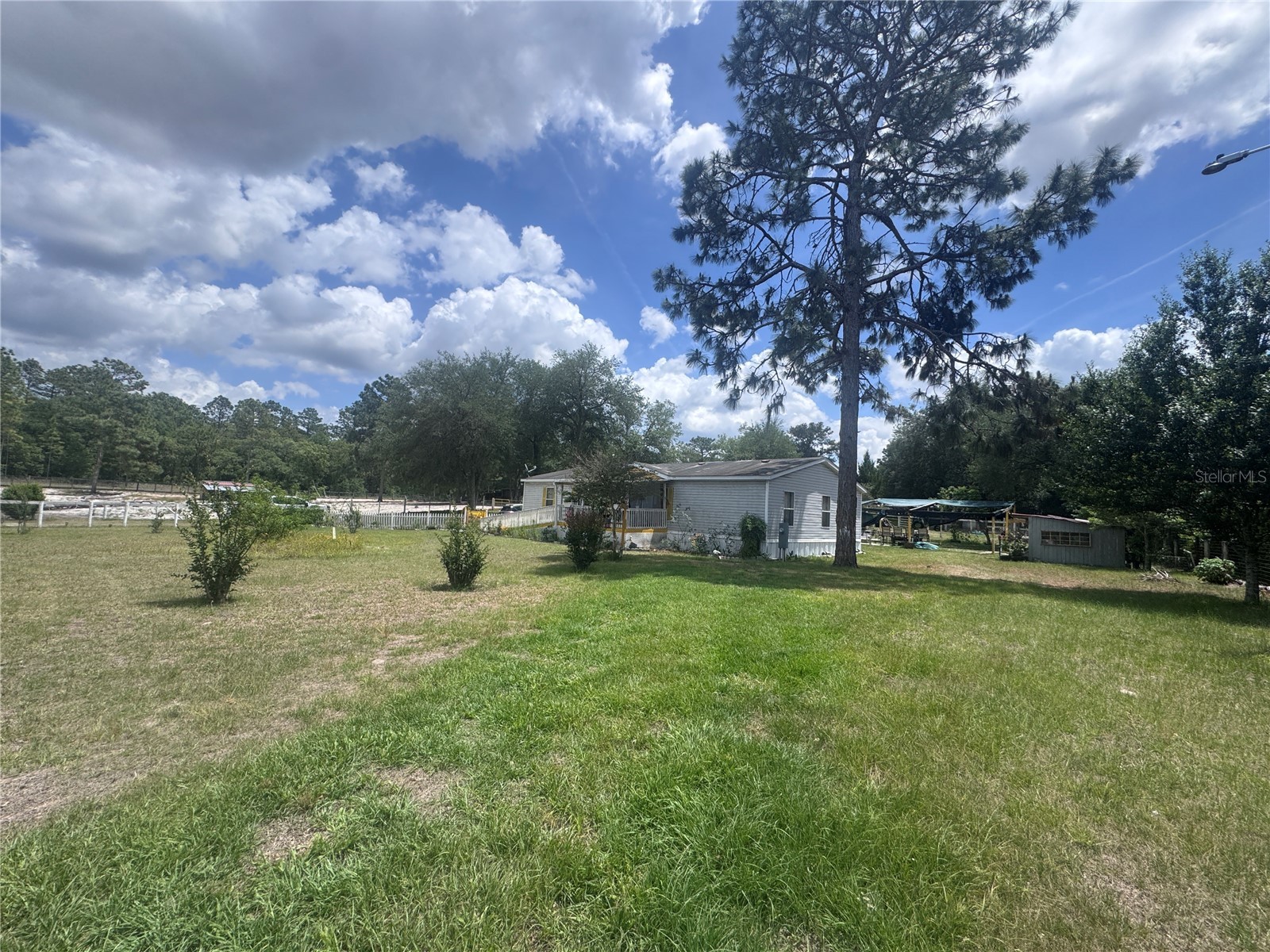 21170 SE 67th Place Morriston FL 32668 OM723878 image4