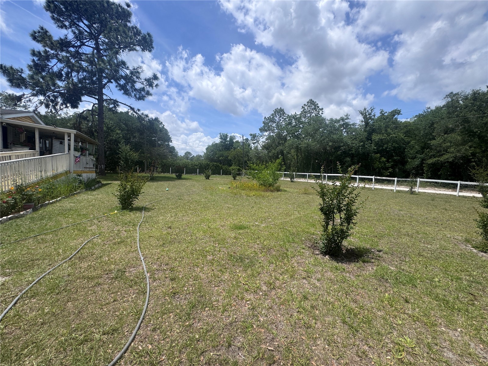 21170 SE 67th Place Morriston FL 32668 OM723878 image5