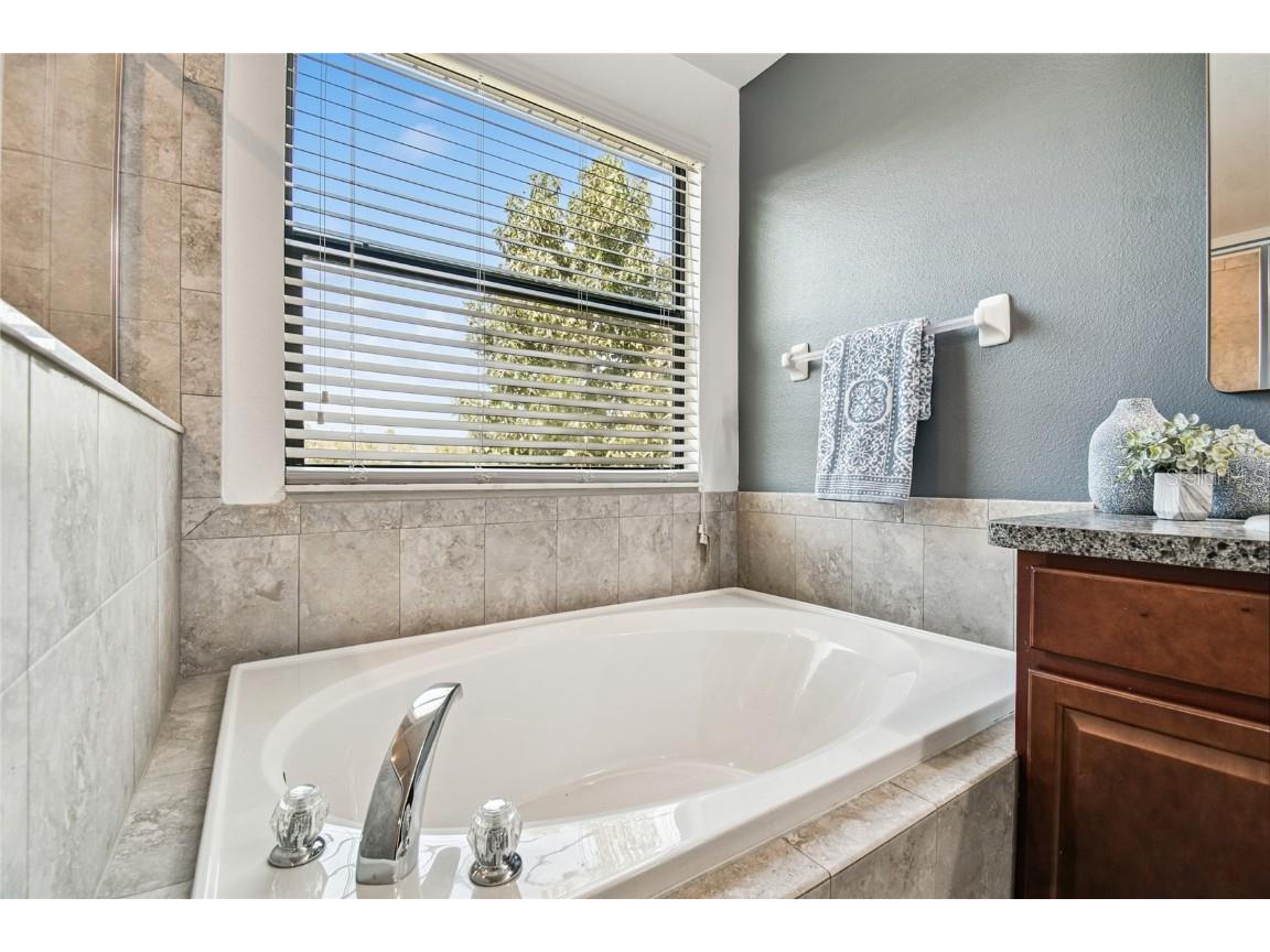 21170 Wistful Yearn Drive Land O Lakes FL 34637 TB8419446 image22