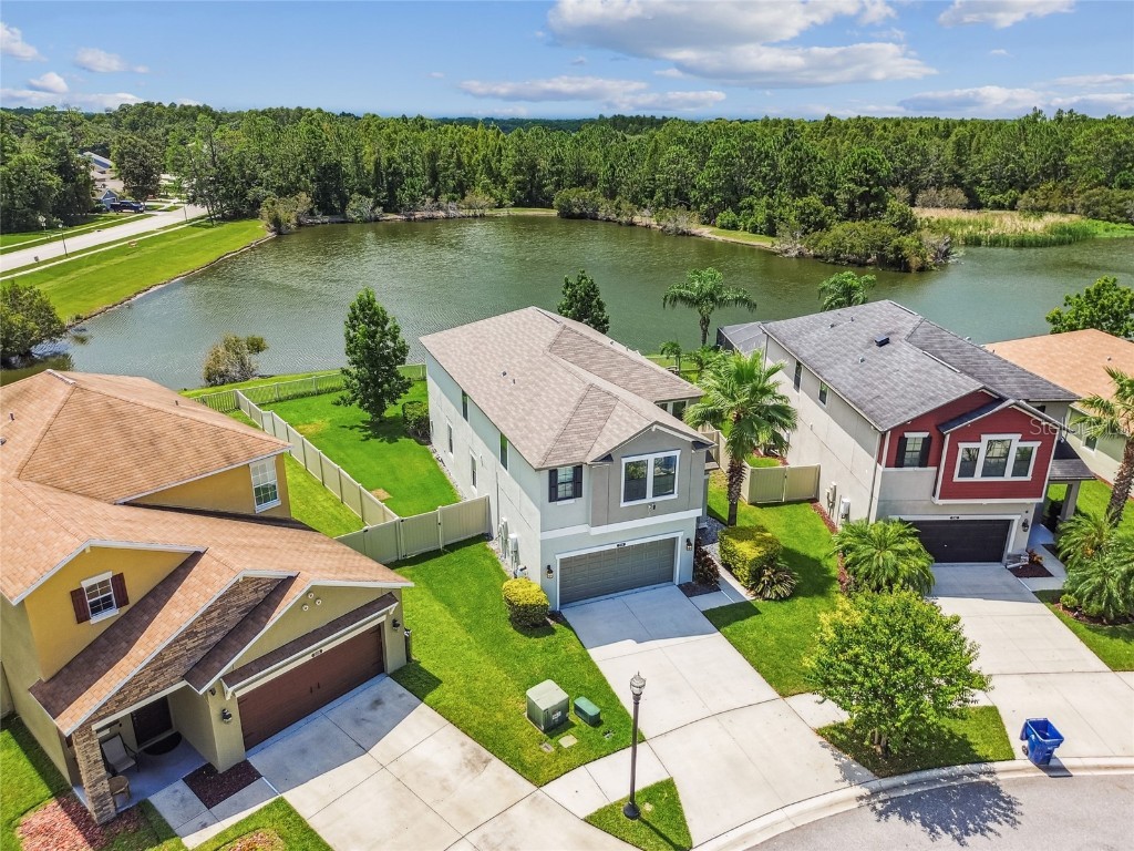 21170 Wistful Yearn Drive Land O Lakes FL 34637 TB8419446 image3