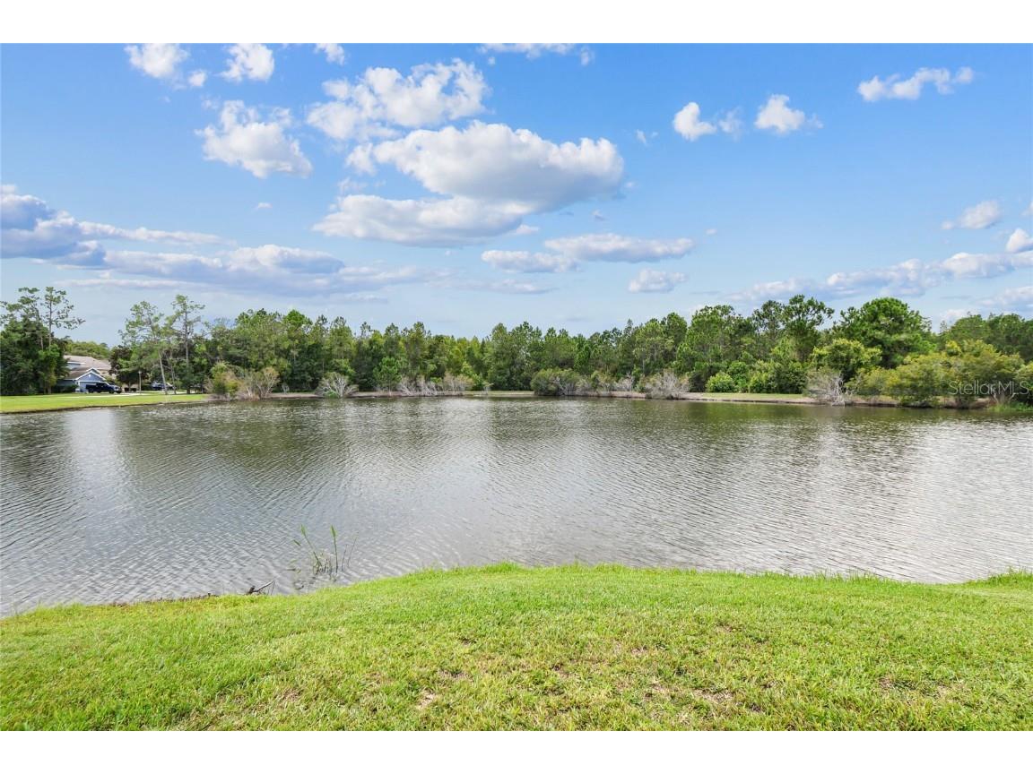 21170 Wistful Yearn Drive Land O Lakes FL 34637 TB8419446 image41