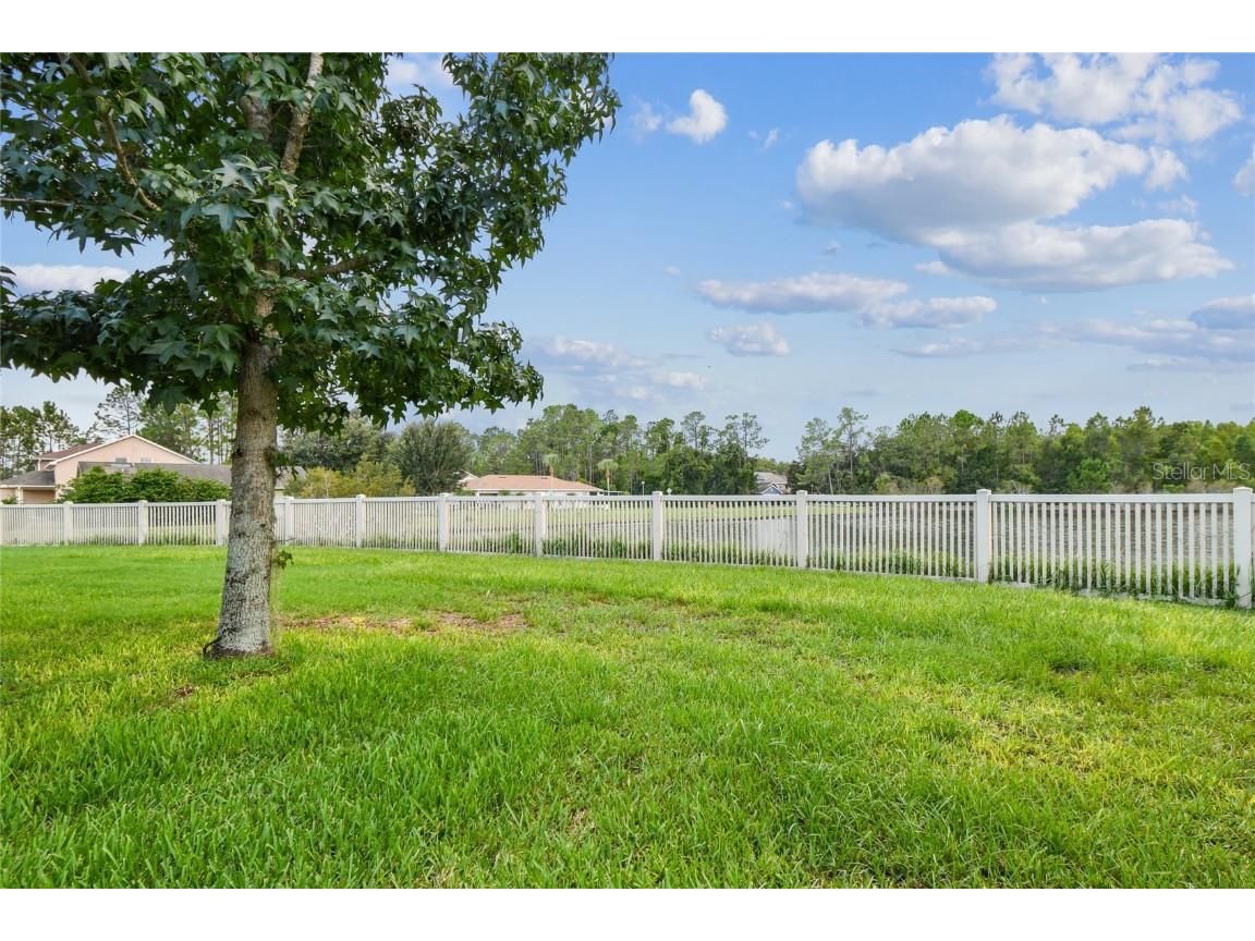 21170 Wistful Yearn Drive Land O Lakes FL 34637 TB8419446 image42