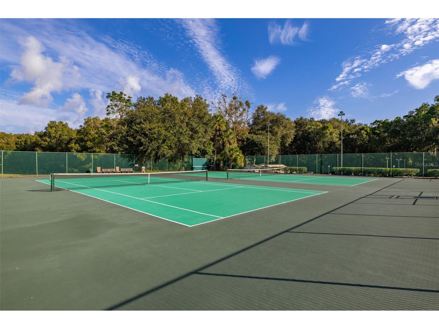 2118 Canopy Circle Zellwood FL 32798 - COHEN AND GRASSMERE O6367458 image54