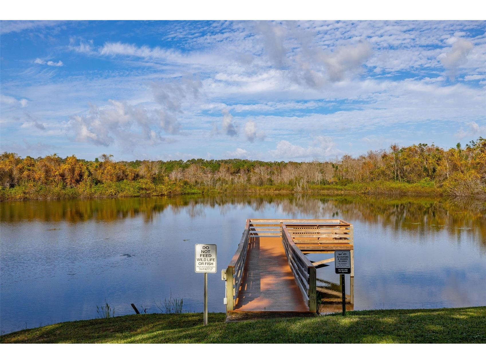 2118 Canopy Circle Zellwood FL 32798 - COHEN AND GRASSMERE O6367458 image56