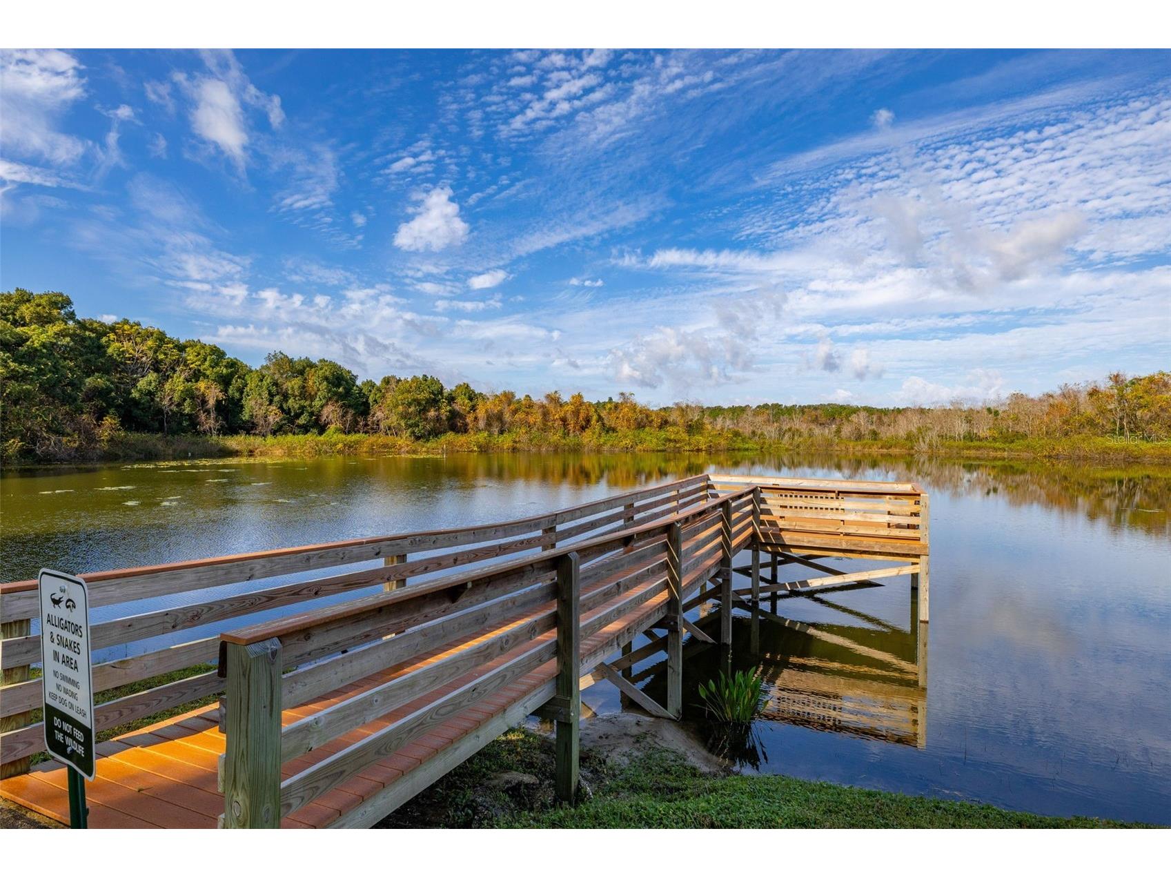 2118 Canopy Circle Zellwood FL 32798 - COHEN AND GRASSMERE O6367458 image57
