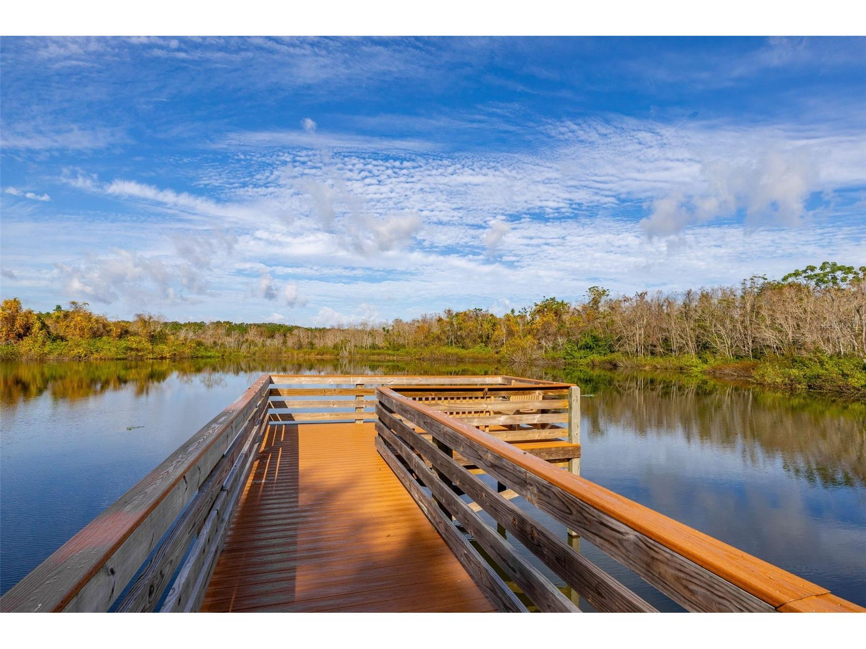 2118 Canopy Circle Zellwood FL 32798 - COHEN AND GRASSMERE O6367458 image58