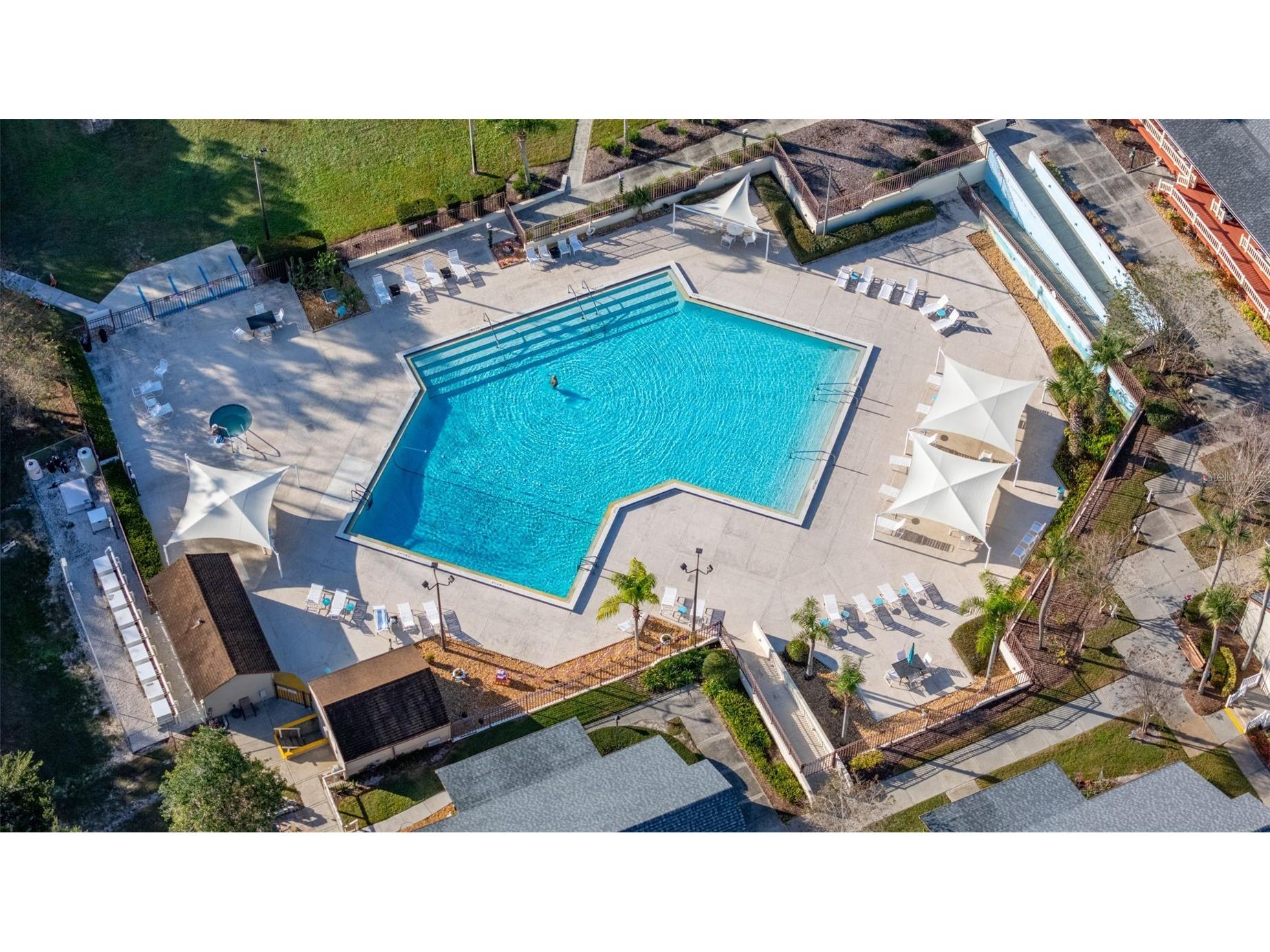 2118 Canopy Circle Zellwood FL 32798 - COHEN AND GRASSMERE O6367458 image67