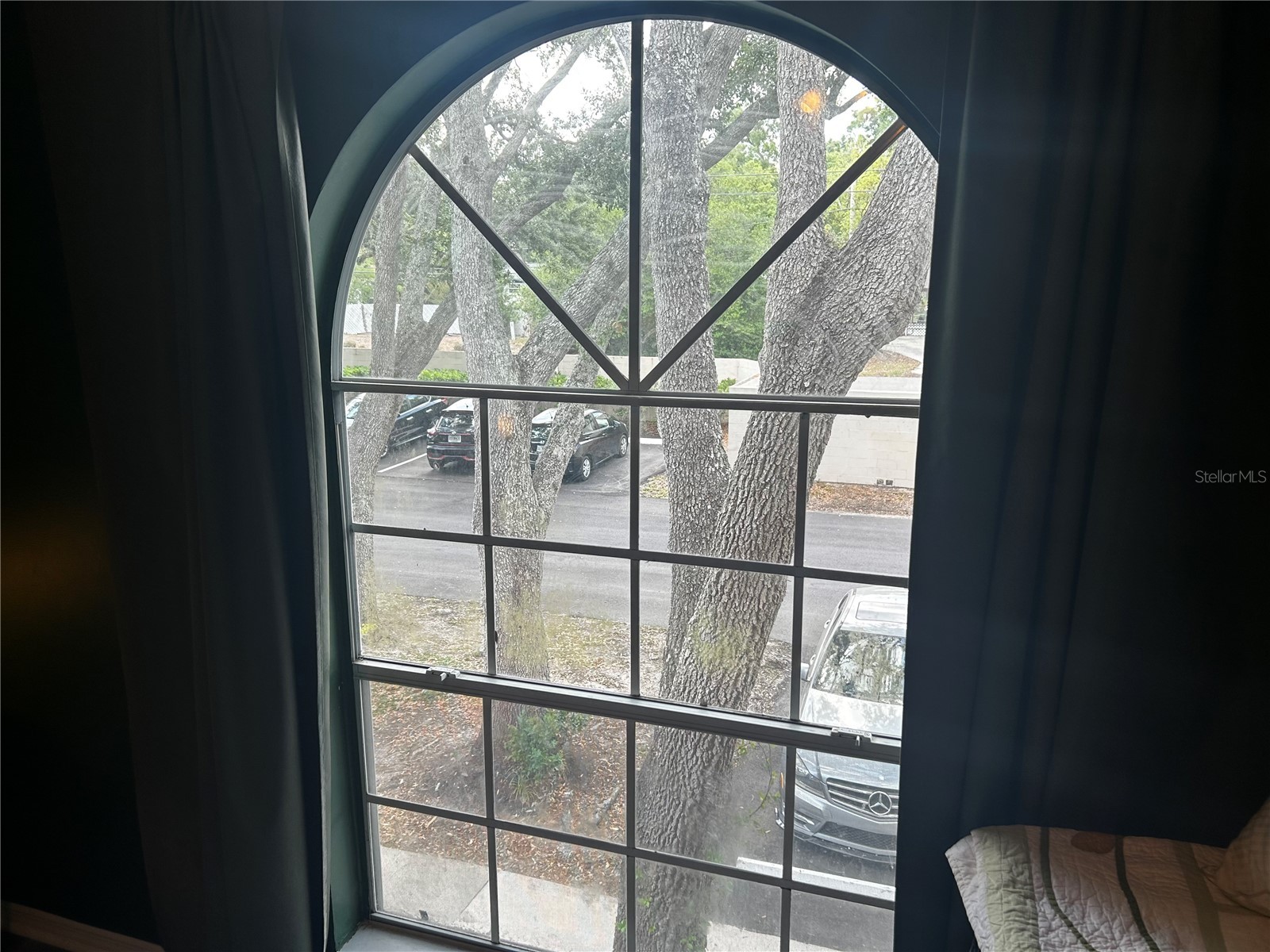 2118 Fletchers Point Circle Tampa FL 33613 TB8514294 image12