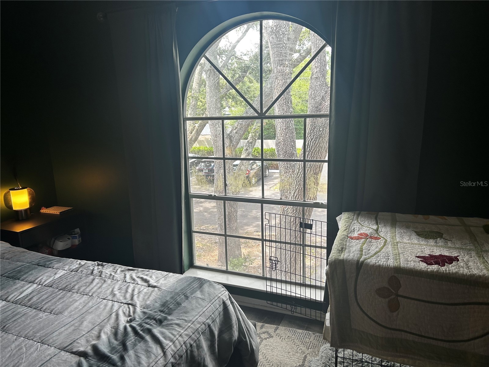 2118 Fletchers Point Circle Tampa FL 33613 TB8514294 image20