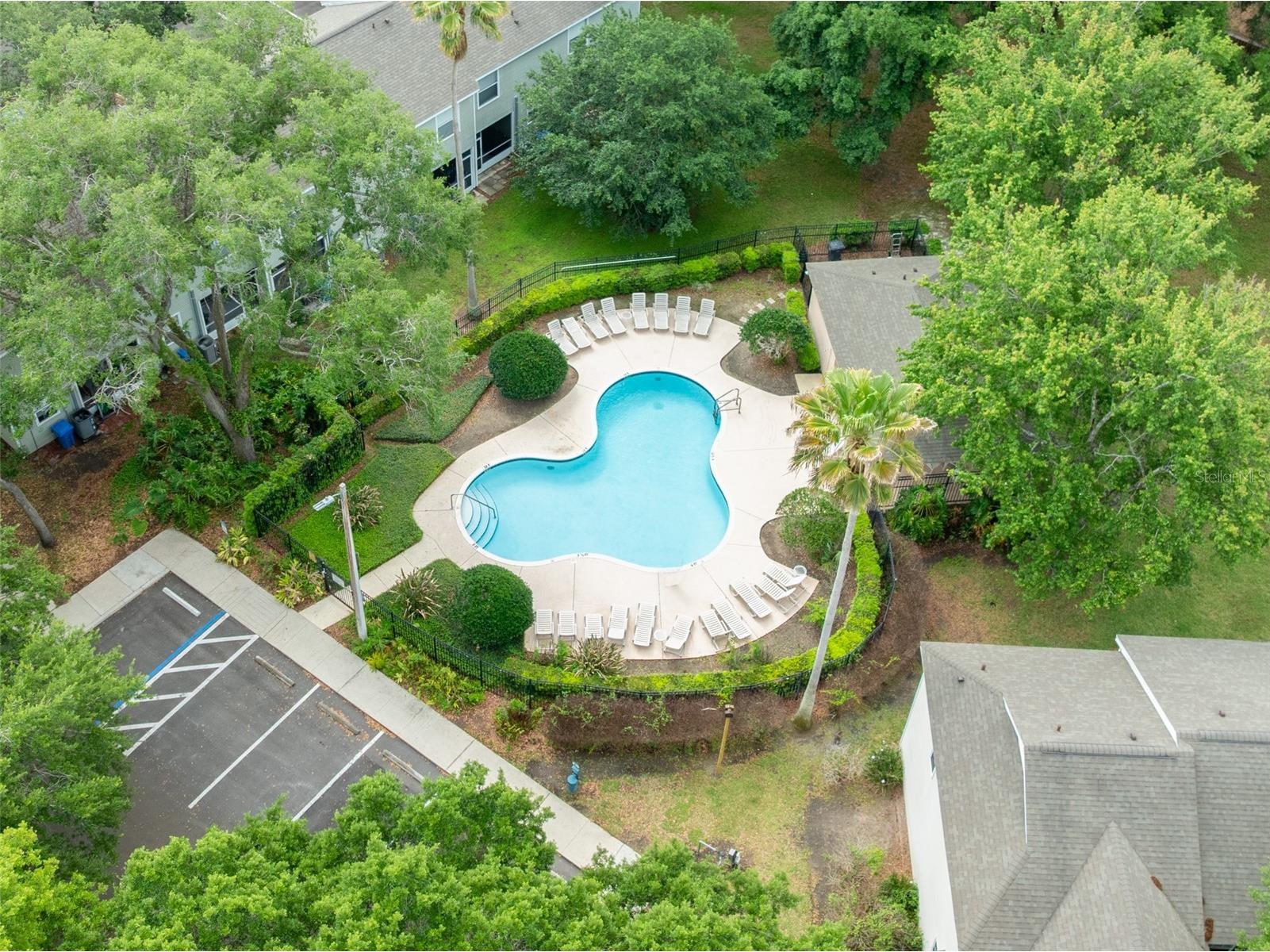 2118 Golden Oak Ln Valrico FL 33594 TB8497732 image12