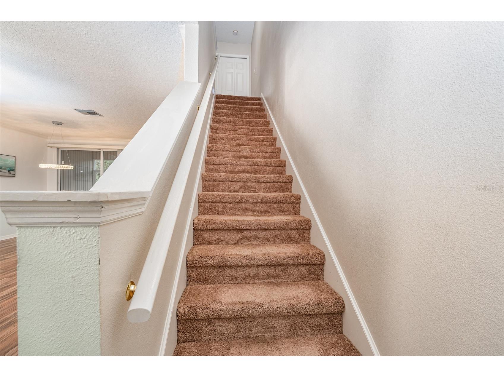 2118 Golden Oak Ln Valrico FL 33594 TB8497732 image14