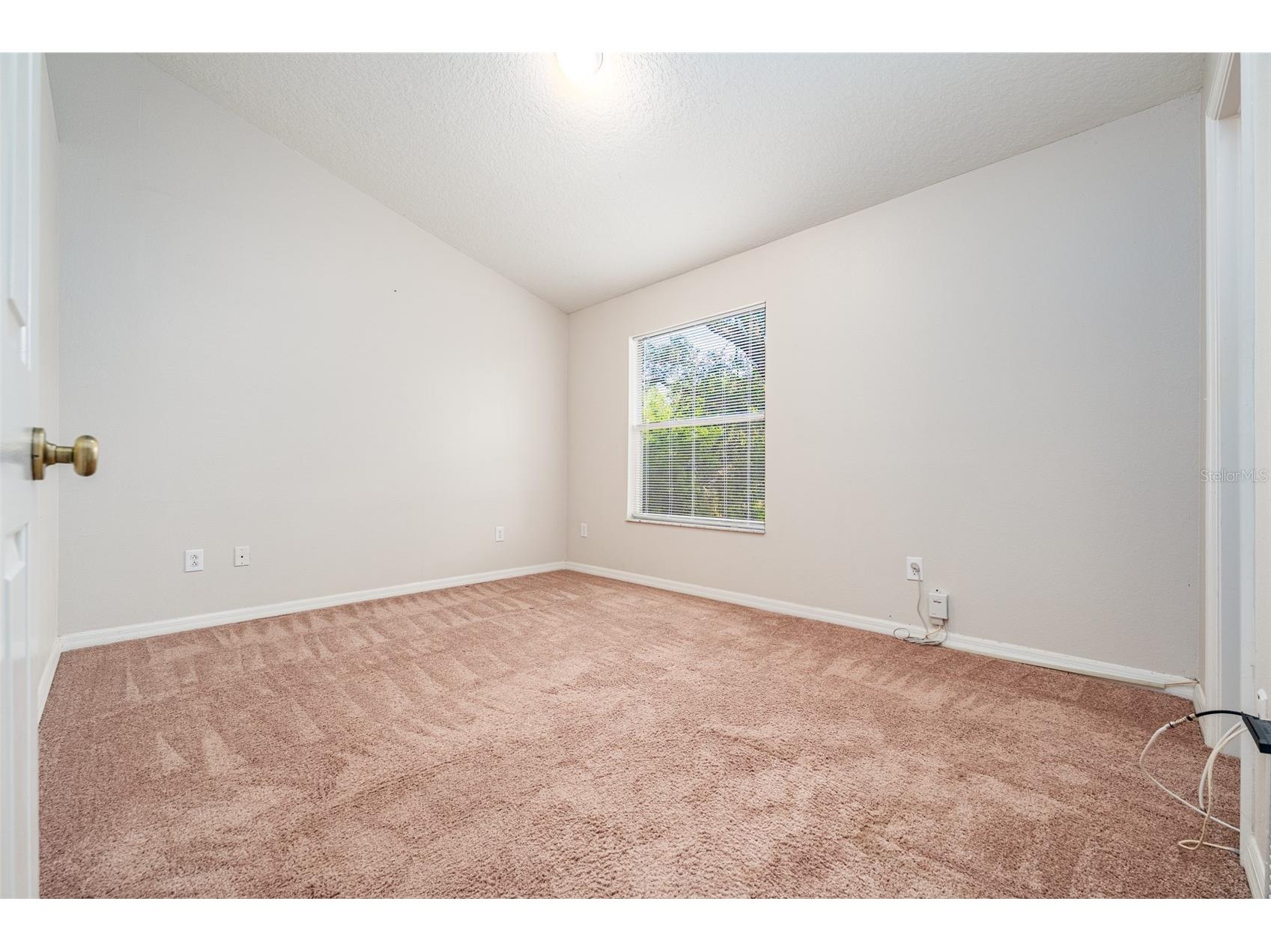 2118 Golden Oak Ln Valrico FL 33594 TB8497732 image20