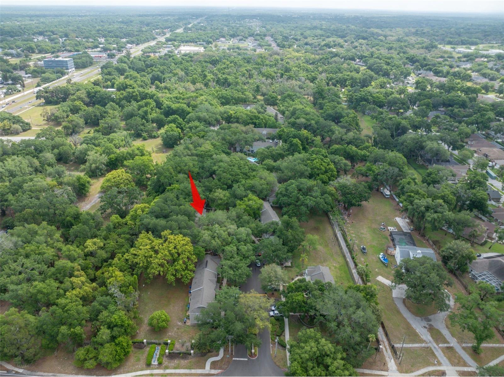 2118 Golden Oak Ln Valrico FL 33594 TB8497732 image27