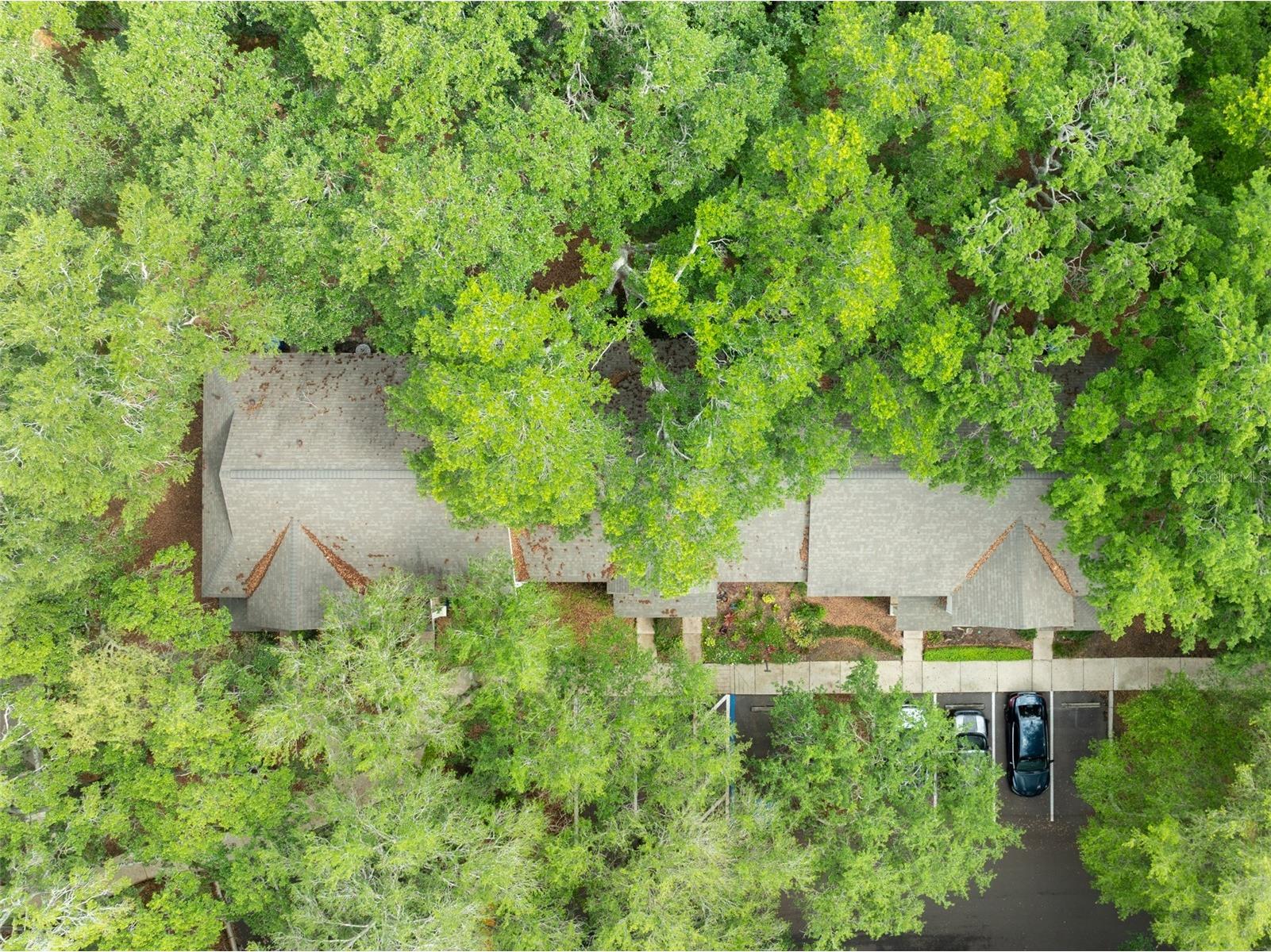 2118 Golden Oak Ln Valrico FL 33594 TB8497732 image28
