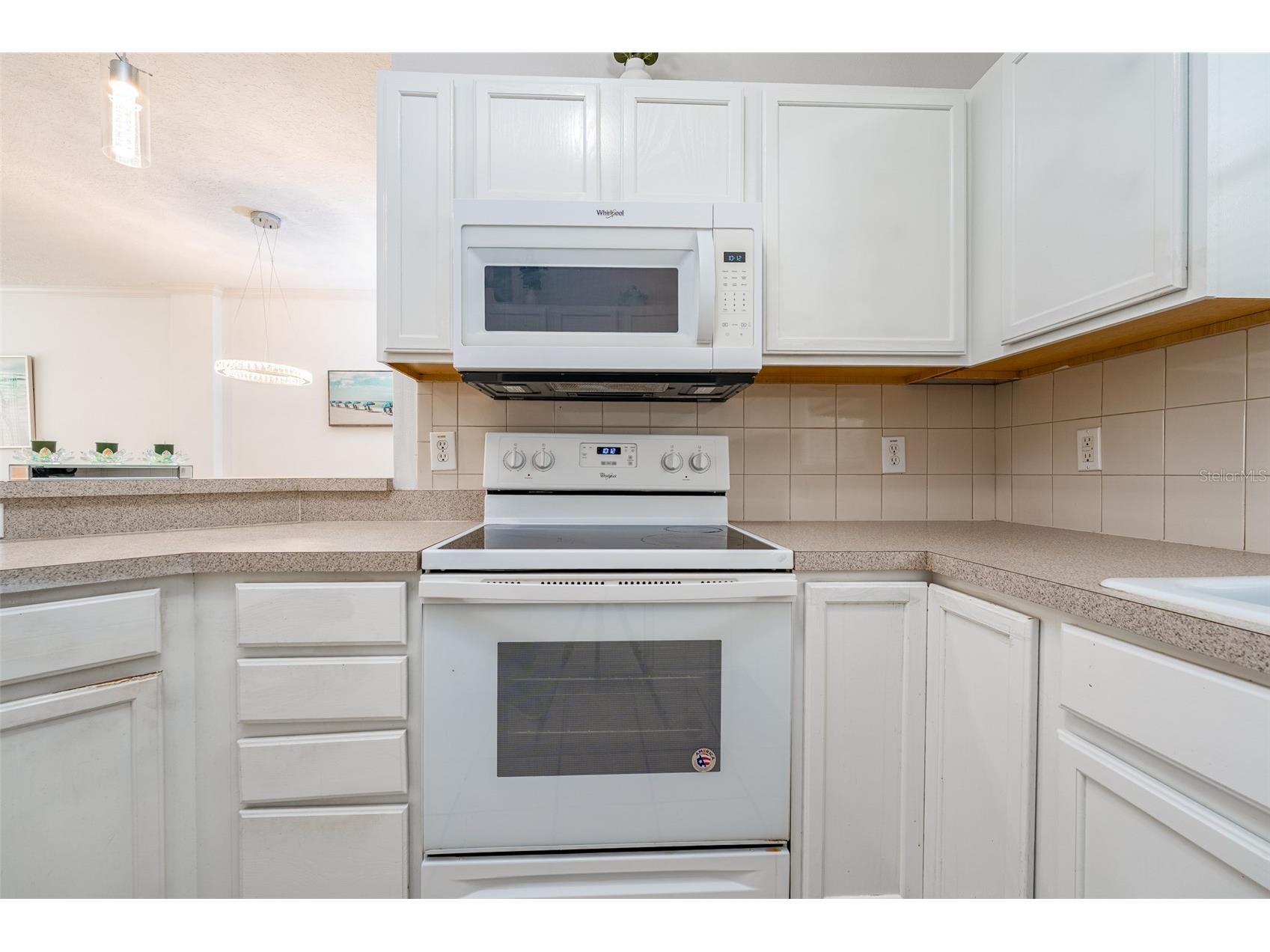 2118 Golden Oak Ln Valrico FL 33594 TB8497732 image9