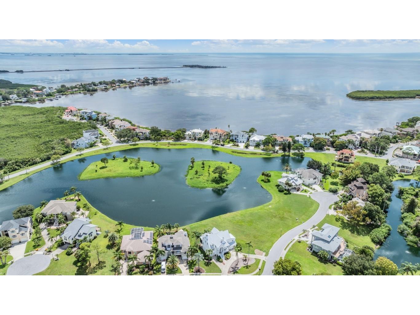 2118 Harbour Watch Drive Tarpon Springs FL 34689 - LAKE HARBOUR WATCH T3552081 image20