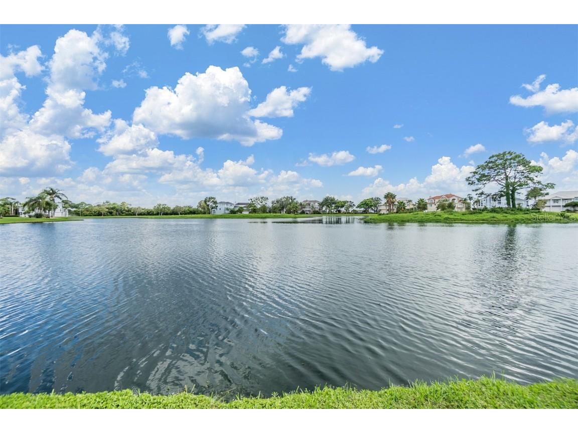 2118 Harbour Watch Drive Tarpon Springs FL 34689 - LAKE HARBOUR WATCH T3552081 image48