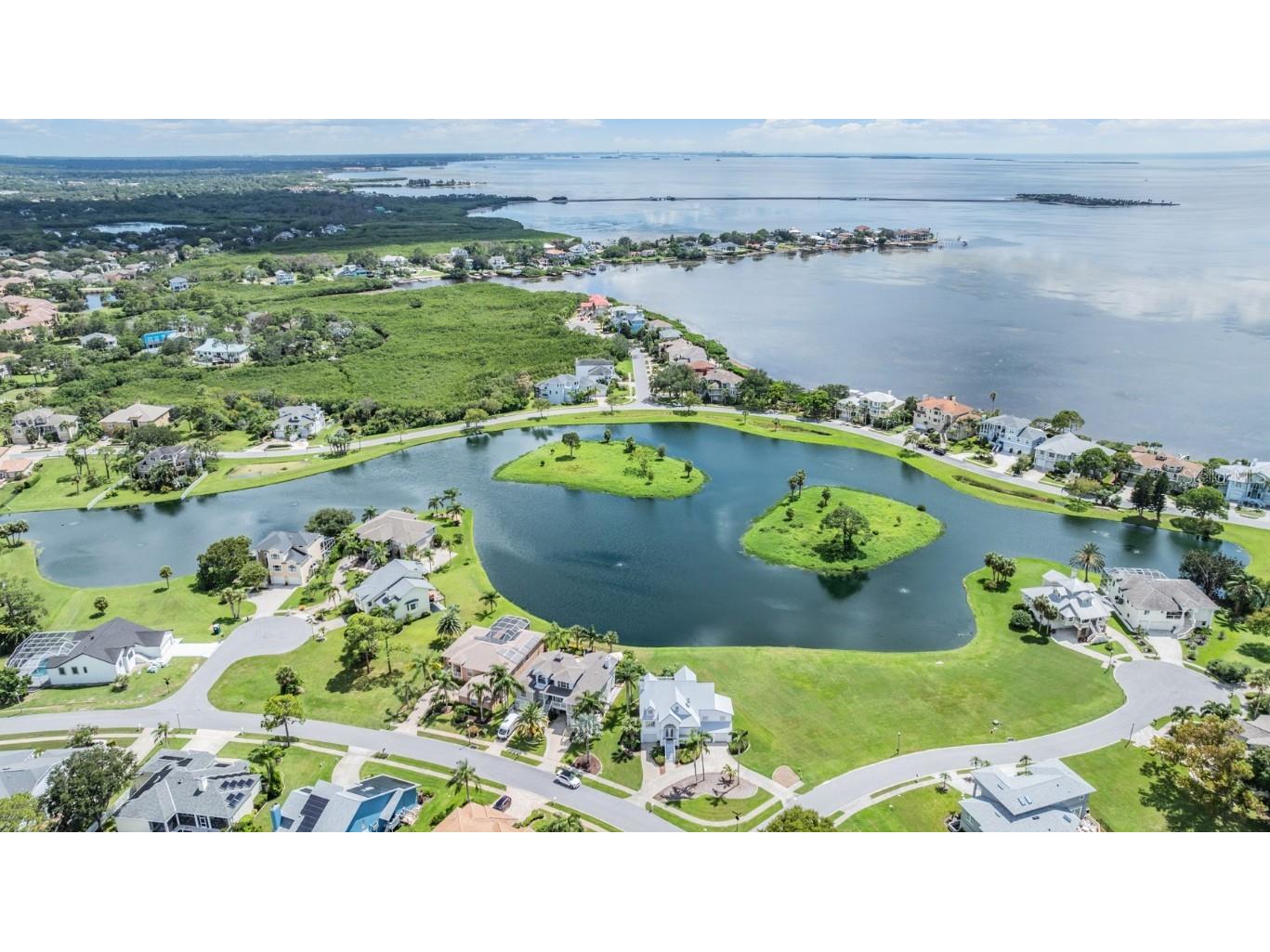 2118 Harbour Watch Drive Tarpon Springs FL 34689 - LAKE HARBOUR WATCH T3552081 image5