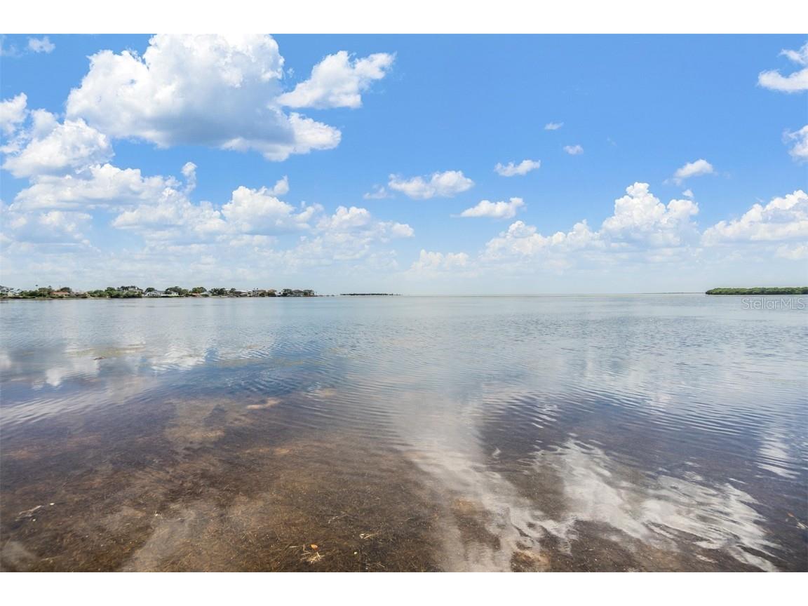 2118 Harbour Watch Drive Tarpon Springs FL 34689 - LAKE HARBOUR WATCH T3552081 image55