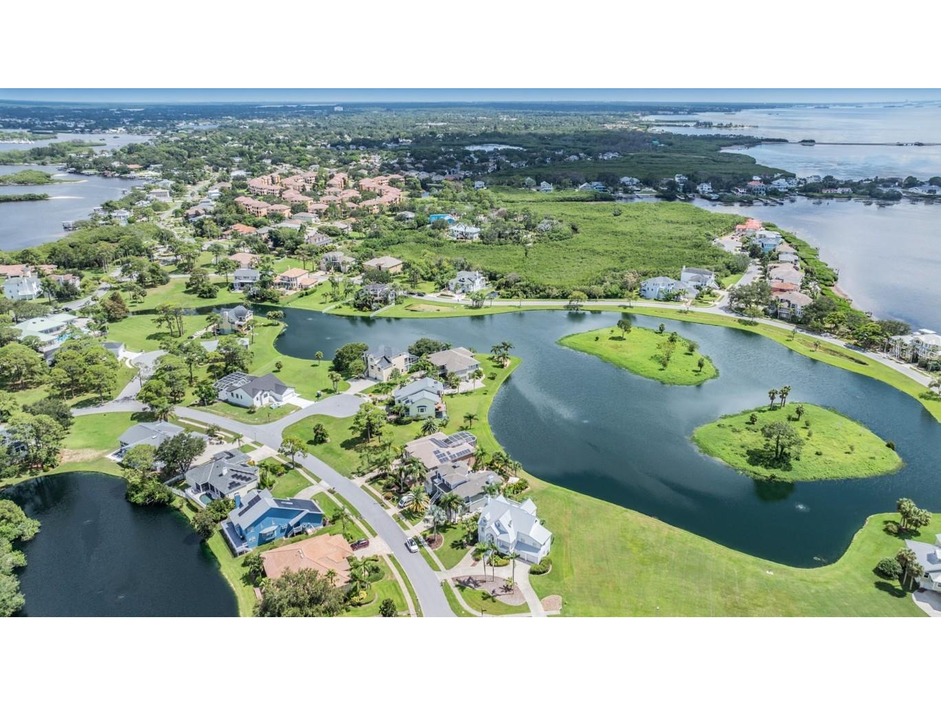 2118 Harbour Watch Drive Tarpon Springs FL 34689 - LAKE HARBOUR WATCH T3552081 image58