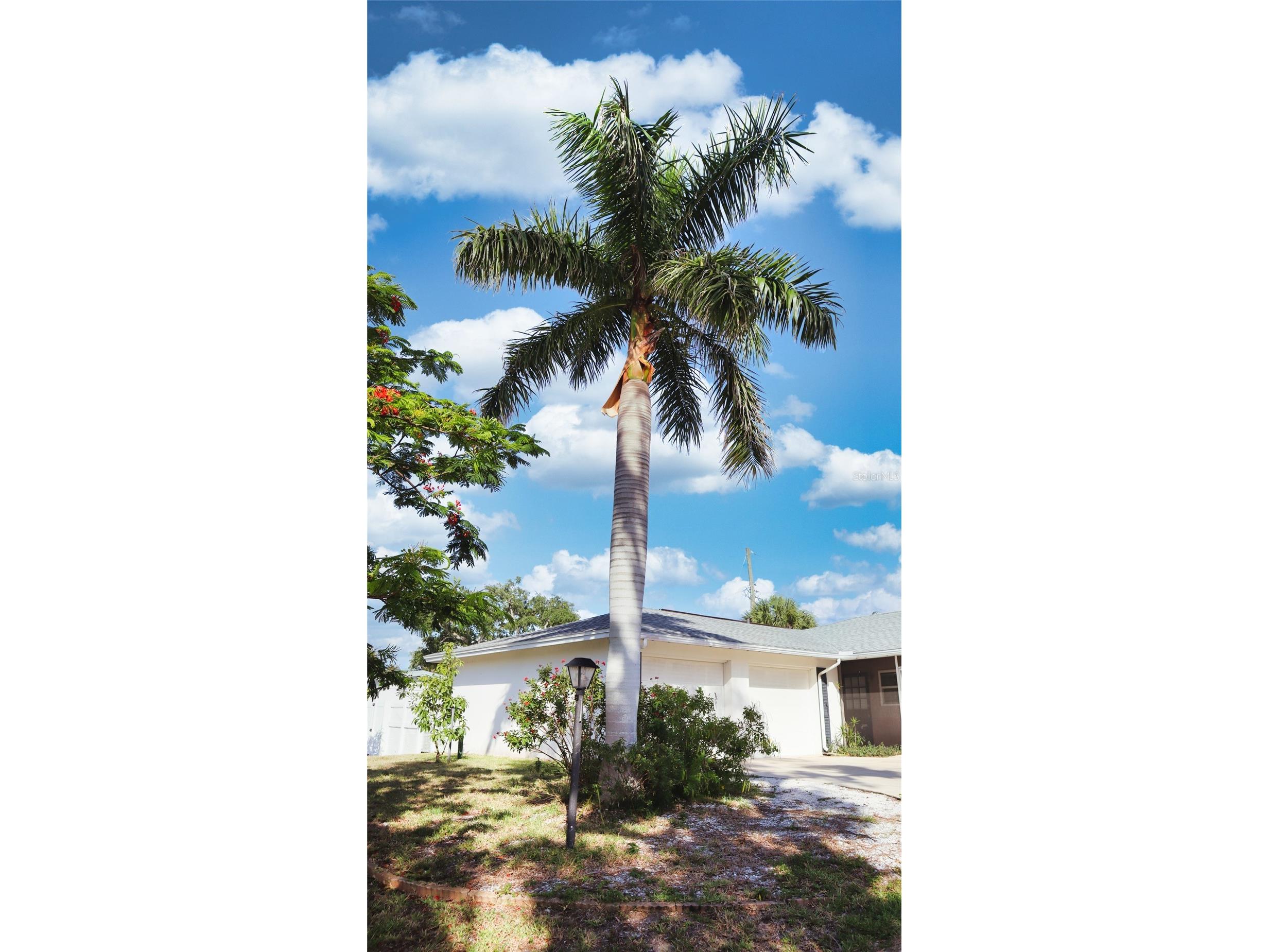 2118 Michele Drive Sarasota FL 34231 N6143453 image65