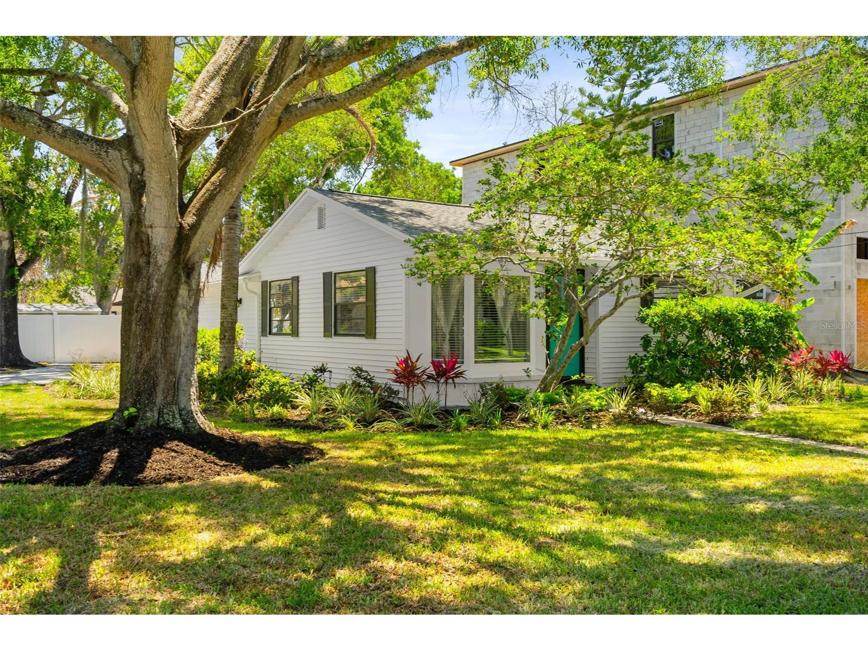 2118 S Venus Street Tampa FL 33629 TB8491739 image2