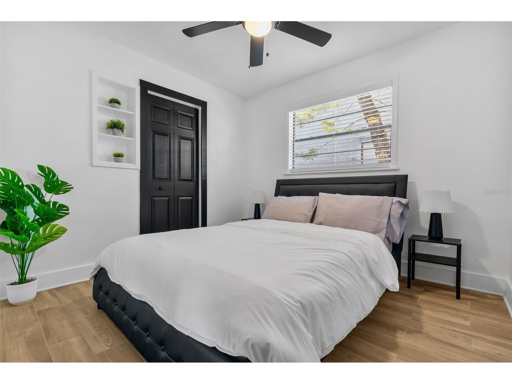 2118 S Venus Street Tampa FL 33629 TB8491739 image29