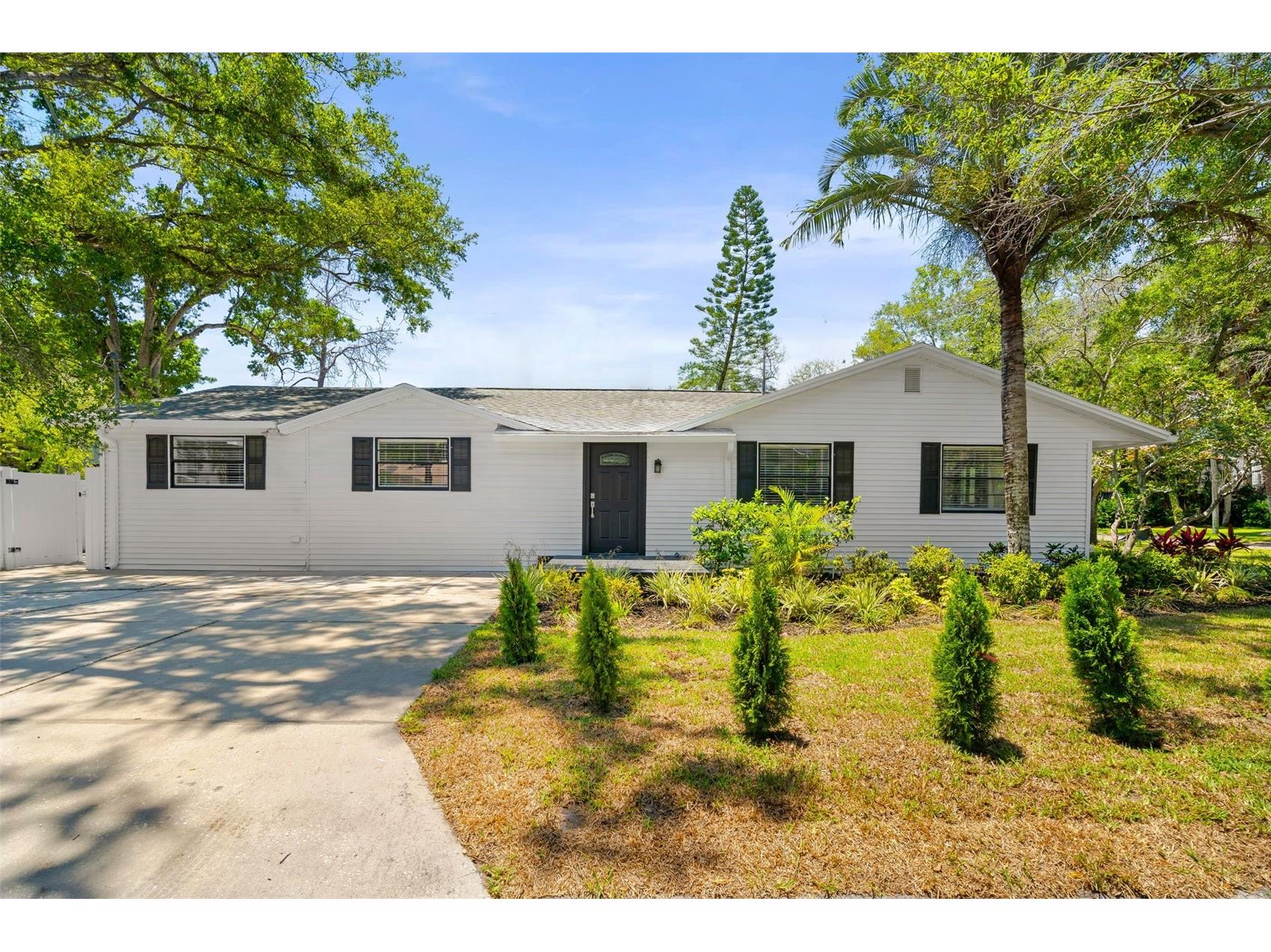 2118 S Venus Street Tampa FL 33629 TB8491739 image4