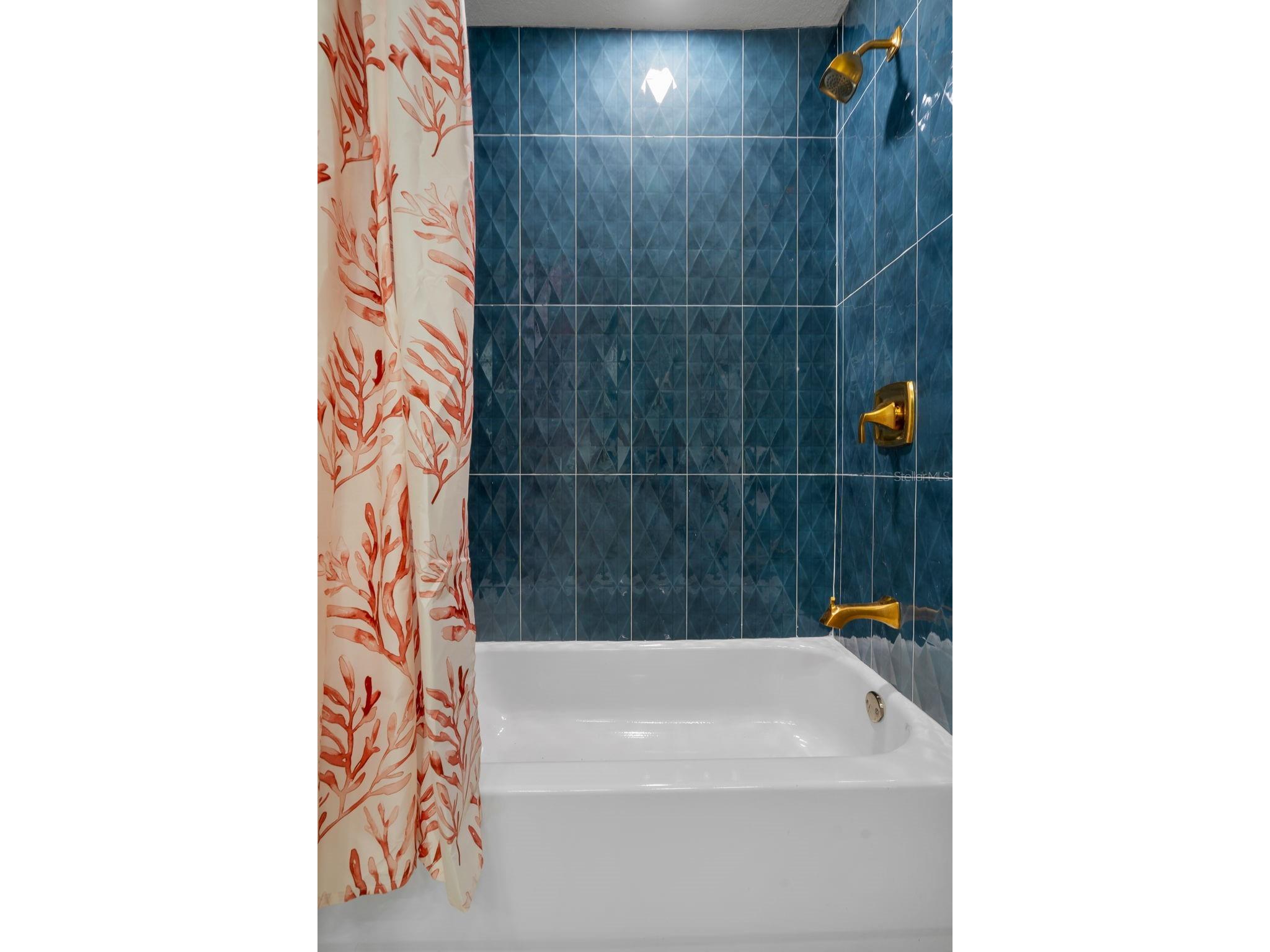 2118 S Venus Street Tampa FL 33629 TB8491739 image41