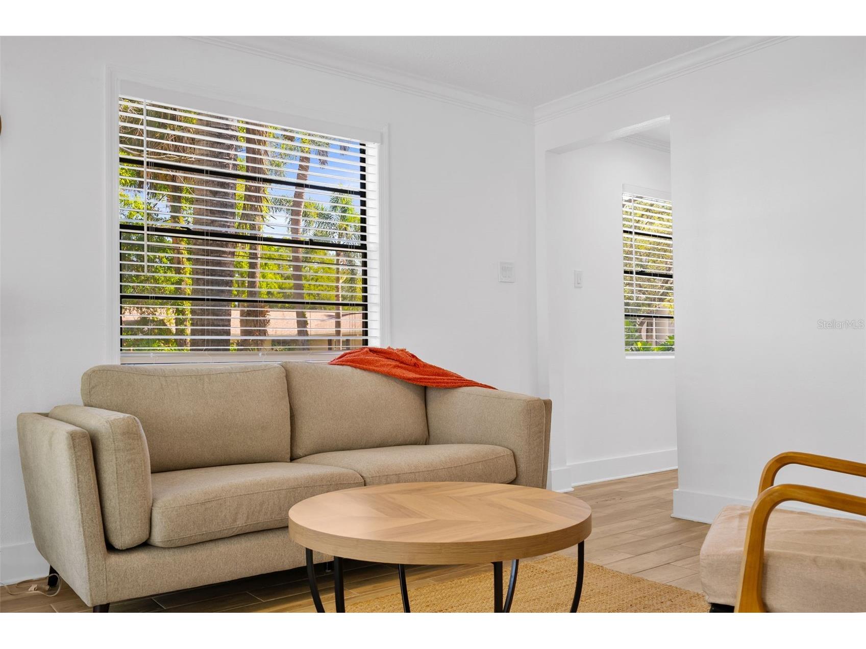 2118 S Venus Street Tampa FL 33629 TB8491739 image8