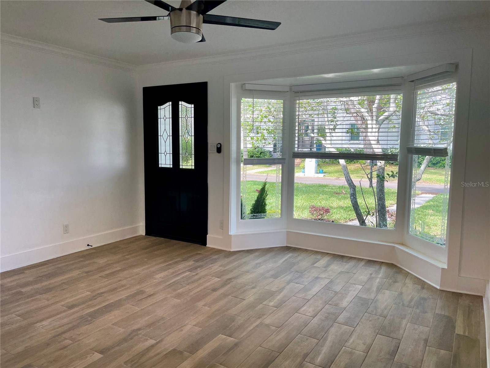 2118 S Venus Street Tampa FL 33629 TB8497620 image6