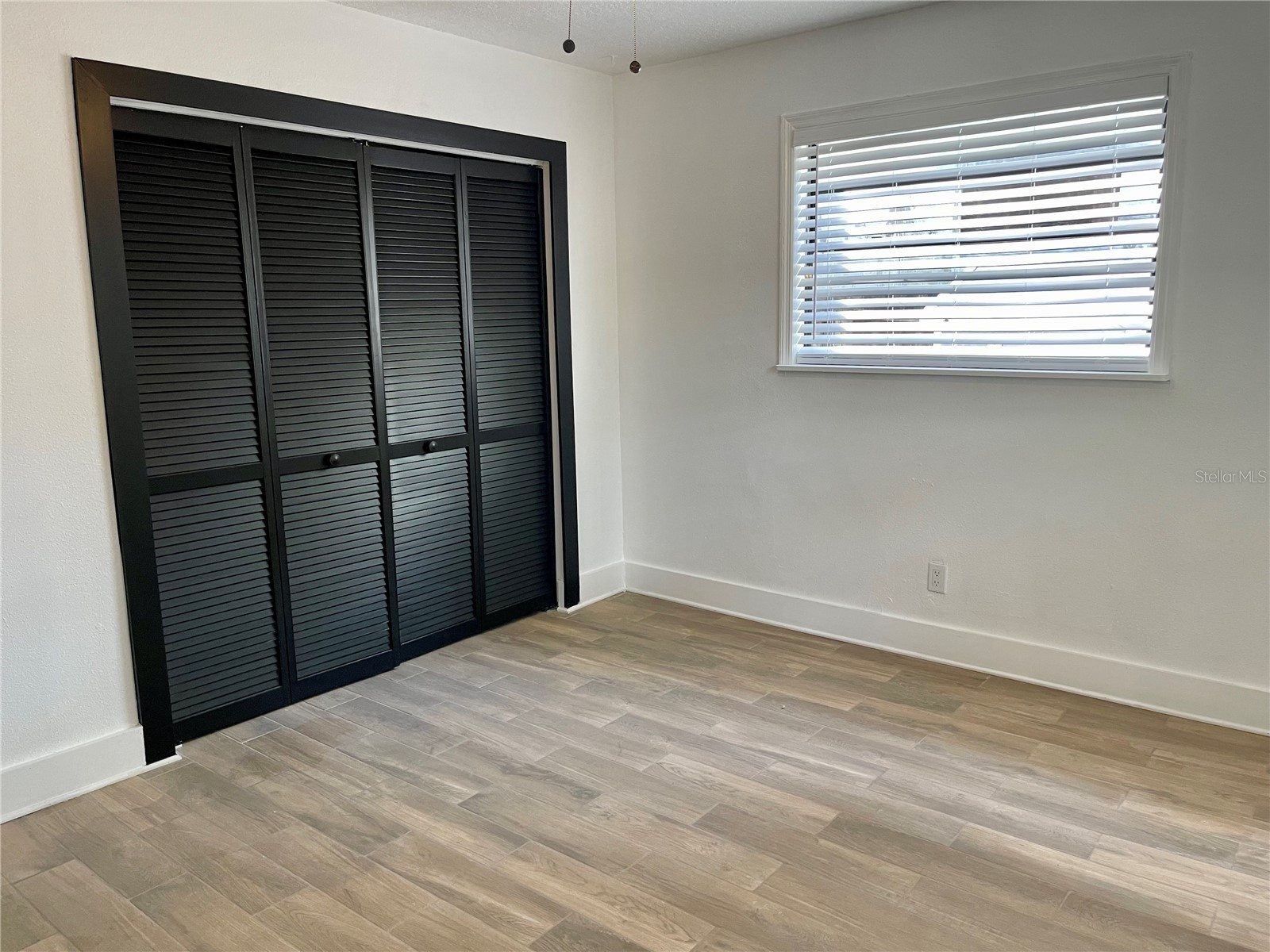 2118 S Venus Street Tampa FL 33629 TB8497620 image8